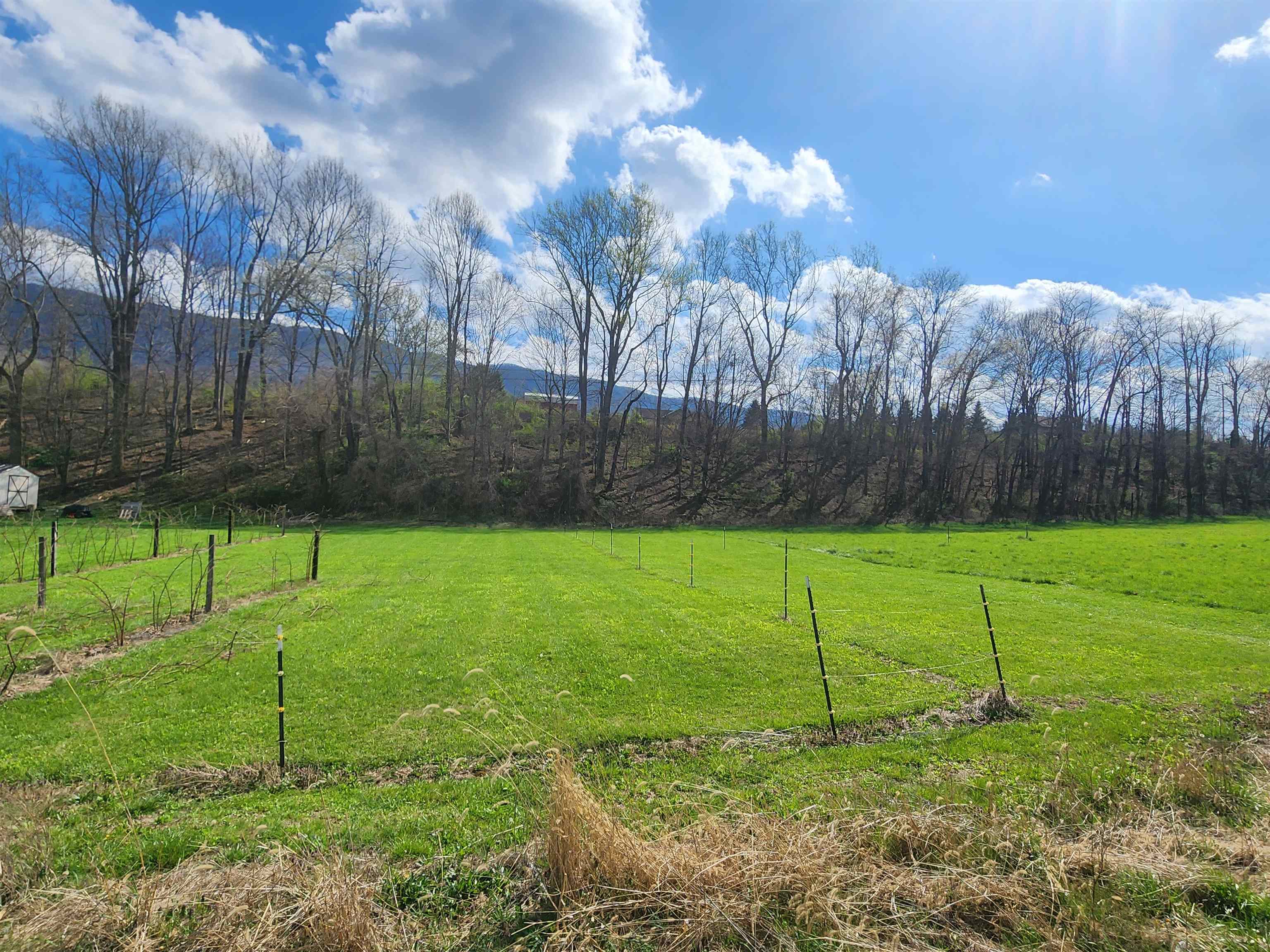 Perfect level lot with perk sight approved. Beautiful setting. 15 Minutes to I-77
