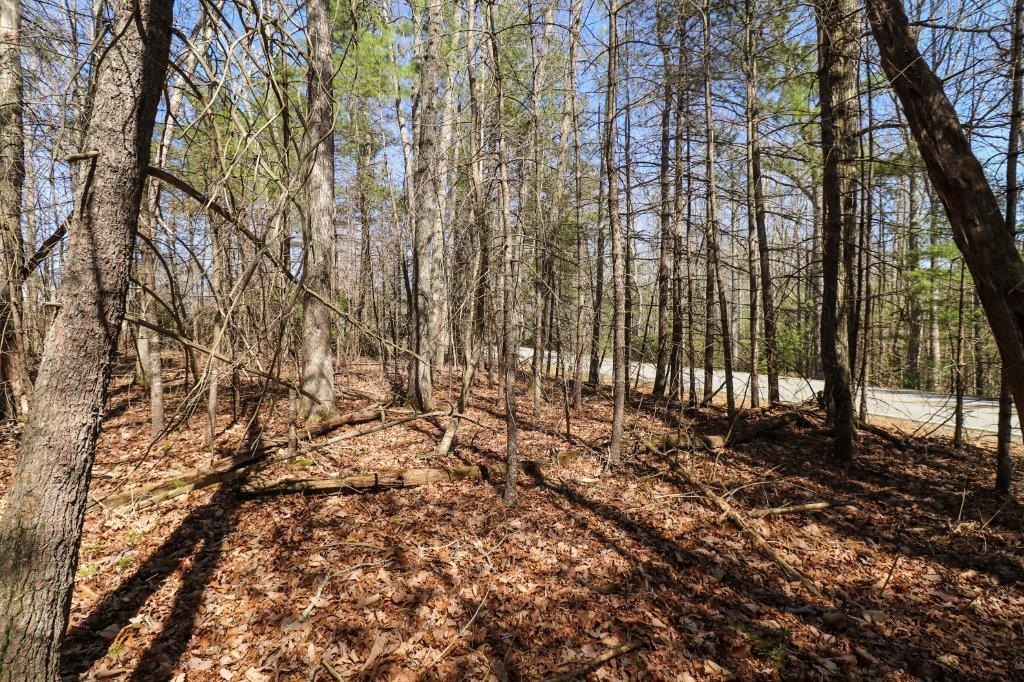 Beautiful, level, wooded building lot in a convenient location. Convenient to Hillsville/Galax and easy commute to NC via I-77.