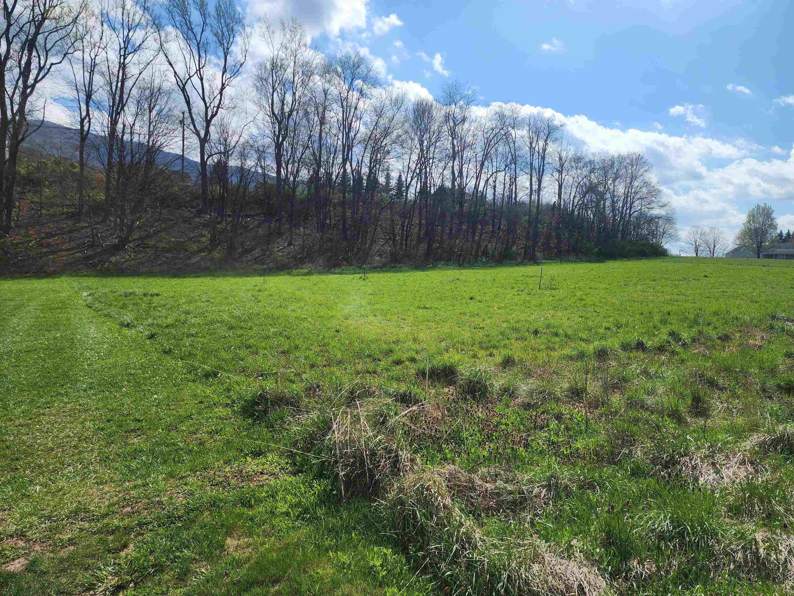 Perfect level lot with current approved septic site. Great access
