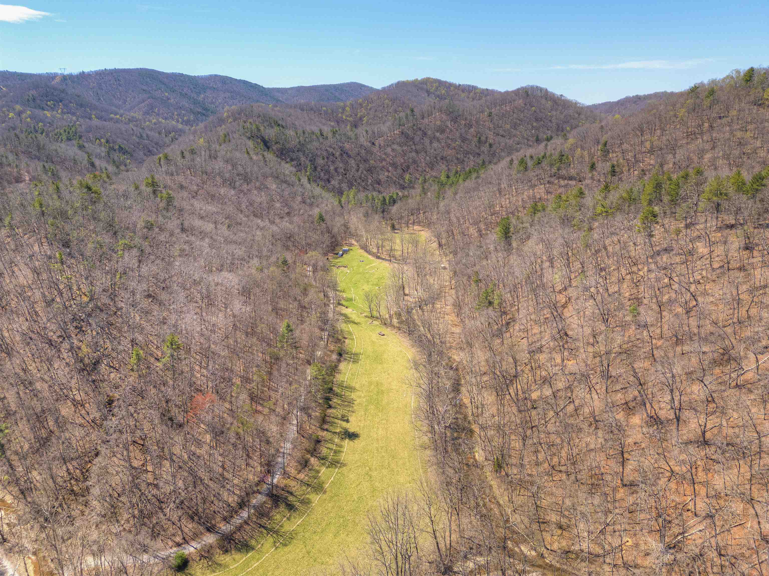 Fabulous opportunity to own 135.12 acres of land for hunting,  recreation or even the chance to build a home / cabin for a true private retreat! The wildlife is abundant and the property offers the ultimate landscape for the outdoor enthusiasts. Running through the middle of the property is approx 9.8 acres +/- of flat land which is also very suitable pasture for horses, cattle or any livestock. Partially fenced in. The remainder of the property is mostly wooded with varying elevations. Elliott Creek runs through the property in multiple locations.  Some very mature Timber also exists. Access to this property is off of Craigs Mountain Rd which is maintained by VDOT. No formal survey available or recorded. Multiple adjoining parcels are surveyed. Situated just 15 minutes from the town of Christiansburg, I 81, and most amenities, this is a rare find! If you are looking for a great get-away, hunting paradise or a private homestead , this may be the perfect property for you !