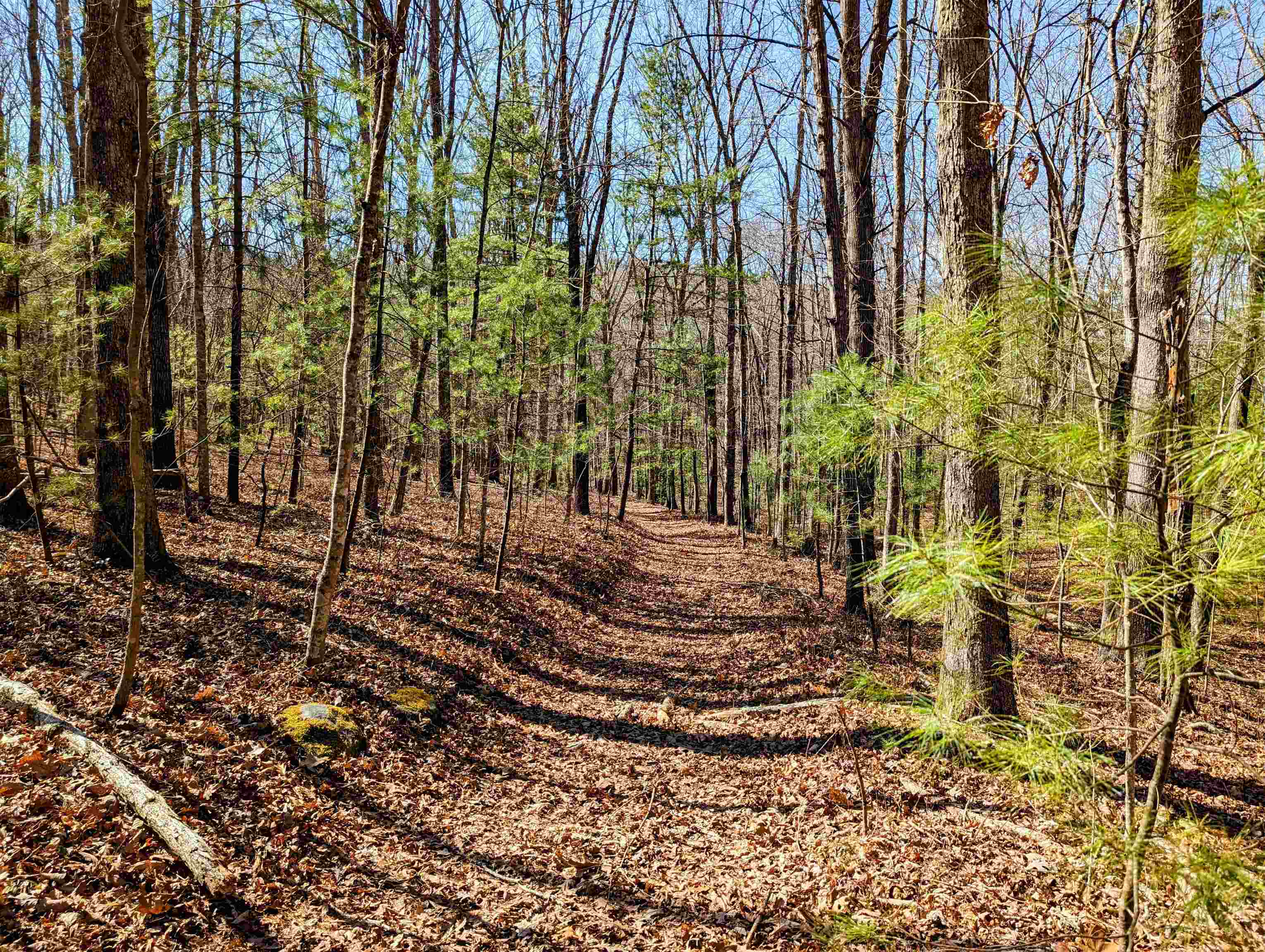 Discover the perfect retreat on this 29.62-acre all wooded property near Wytheville, VA. Accessible via a 50' deeded easement at the cul de sac of Pres Jackson Rd, the right of way is clearly marked. With a recorded survey in place, this land offers endless opportunities for recreation, hunting, building your dream home, or investment. Located just minutes from Wytheville VA, the APEX complex, two interstate highways, and nearby public utilities this serene property is a rare find for those seeking a peaceful escape with convenient access to amenities.