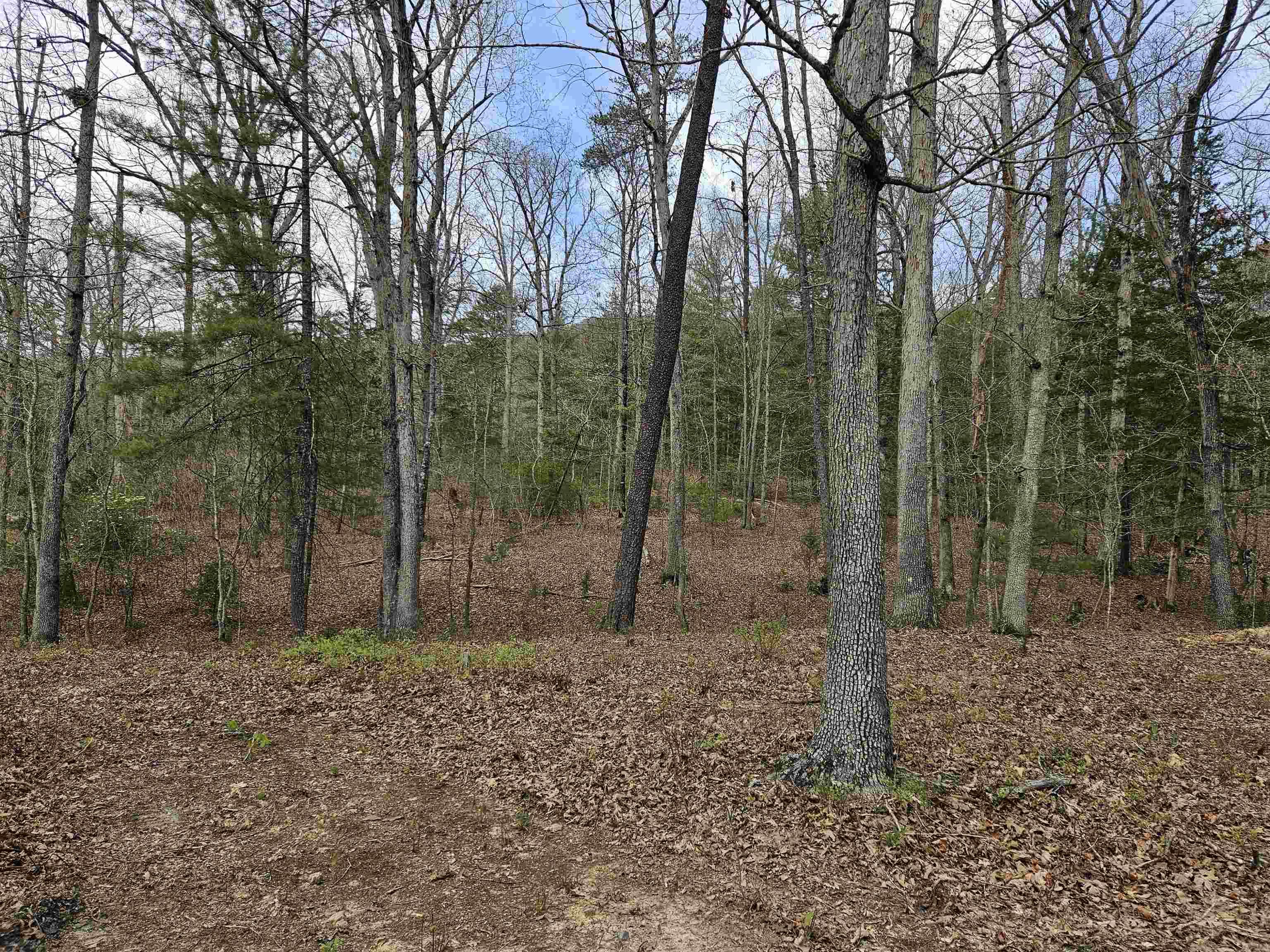 Discover 7.59 acres of pristine woodland with breathtaking mountain views. Conveniently located near Christiansburg, Blacksburg, and Roanoke, this secluded property offers multiple home sites. Perked and part of a homeowners association, it's the perfect canvas for your dream home.
