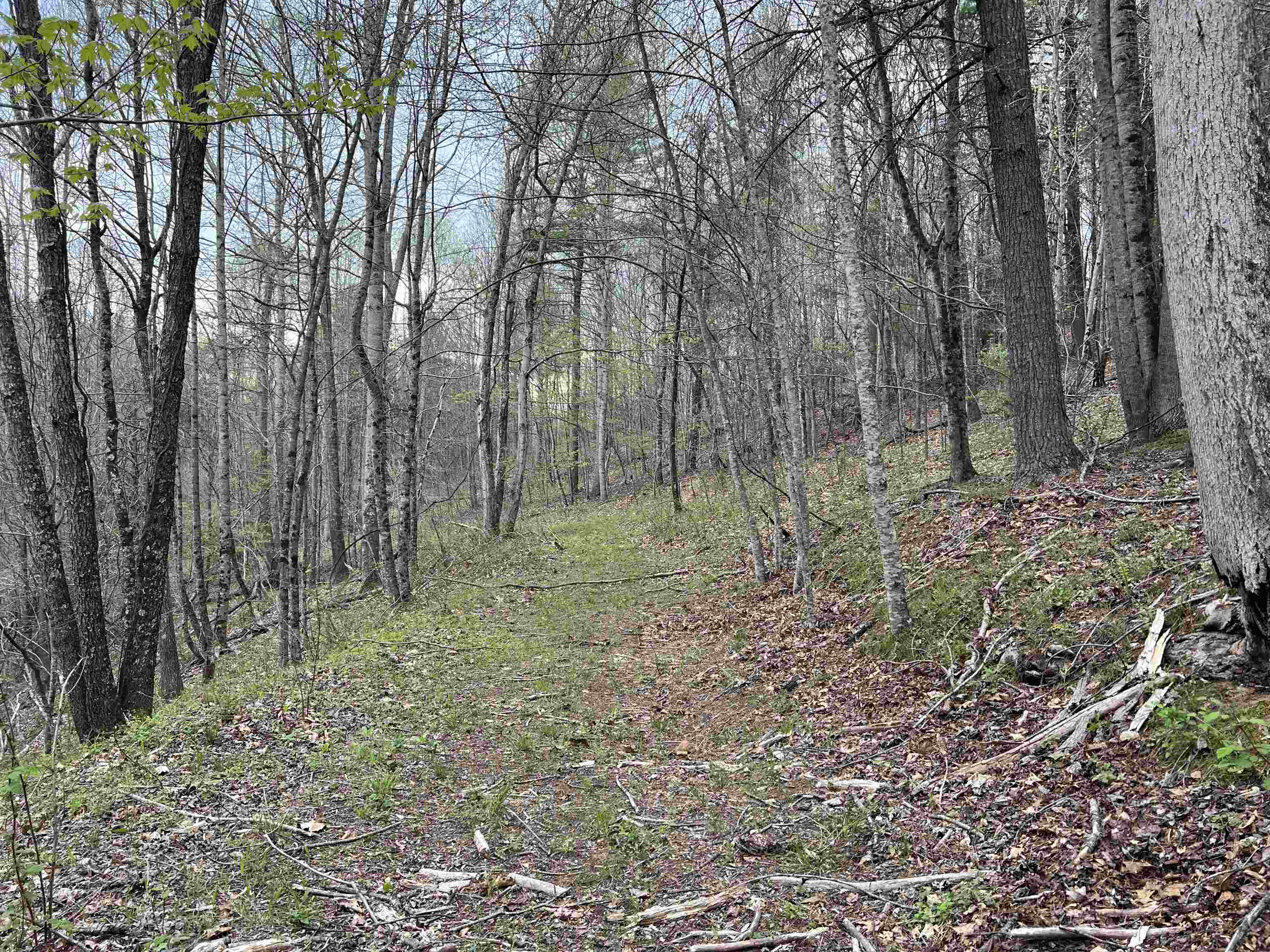 Beautiful 19+ acre tract in Floyd County.  Well maintained road. Mixture of hard woods and pine. Many building sites and lots of potential. Perfect for your dream home, recreational property, and plenty of wildlife for hunting. Please DO NOT enter without permission. Little River crossing is a private road. Please call listing agent for permission, instructions and restrictions.