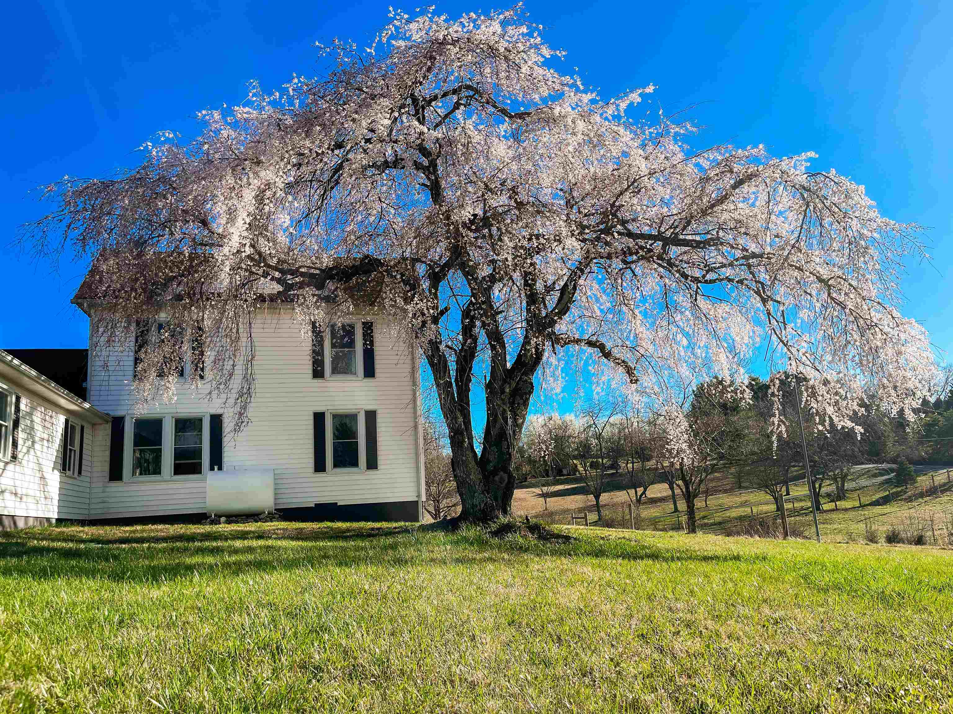 Own a timeless piece of NRV history. This elegantly updated farmhouse on 3.9 fenced acres, originally constructed in 1910, has a charm that must be experienced. Be greeted by a gentle creek front, a stunning weeping cherry tree, and multiple raised beds for gardening. Features original, handcrafted wood staircase, mantels, and doors. Reclaimed woodworking, restored hardwood flooring and waterproof woodgrain LVT throughout. 2.5 newly renovated bathrooms, including a gorgeous tile shower. Bring the dogs, with a spacious fenced backyard and insulated outbuilding to keep your furry friend(s) secure and comfortable in all weather. Convenient to everything, less than 15 minutes to Virginia Tech, Radford University, and Christiansburg. 1.5 miles from the New River. Come see all this gem has to offer.