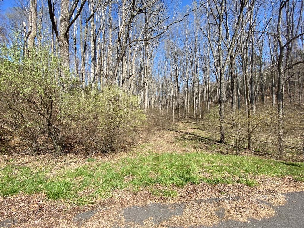 Beautiful 6.33 Acre building lot in a private area of Wythe County. This piece of property has privacy and multiple building sites. Property has been perked and is ready for its new owners. Convenient to both Wytheville and Fort Chiswell. Schedule your private showing today!