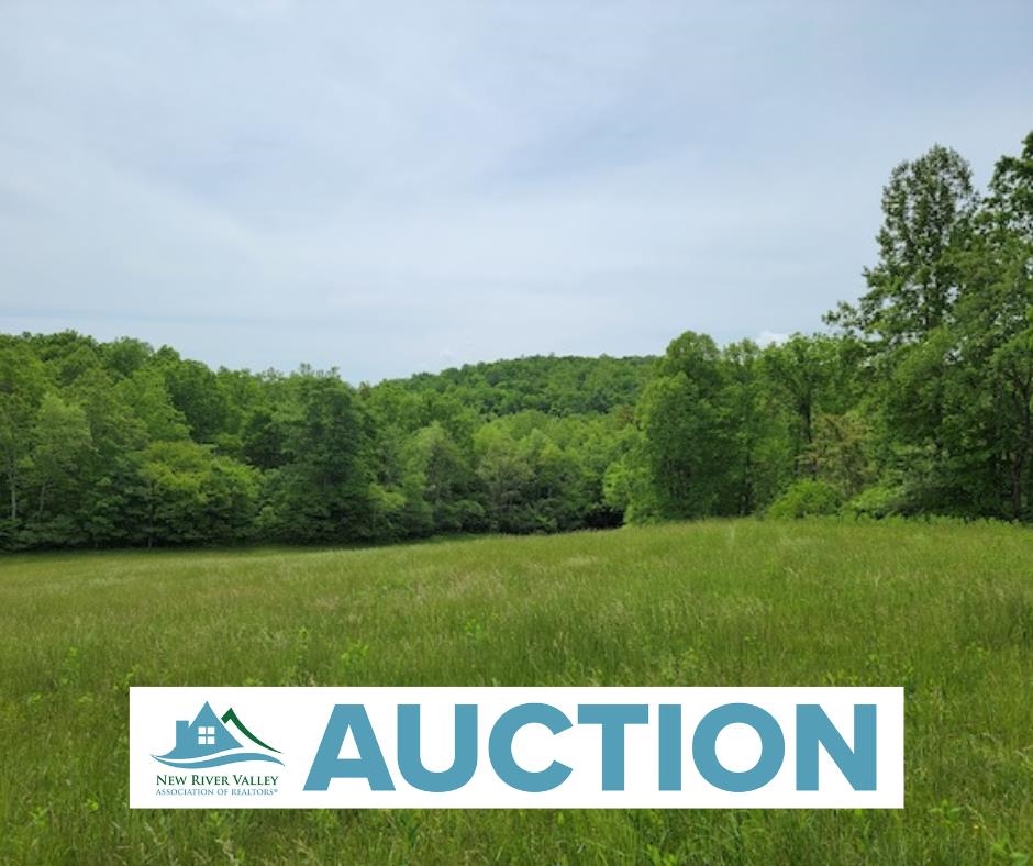 Land for sale in Woolwine, Virginia, 421092
