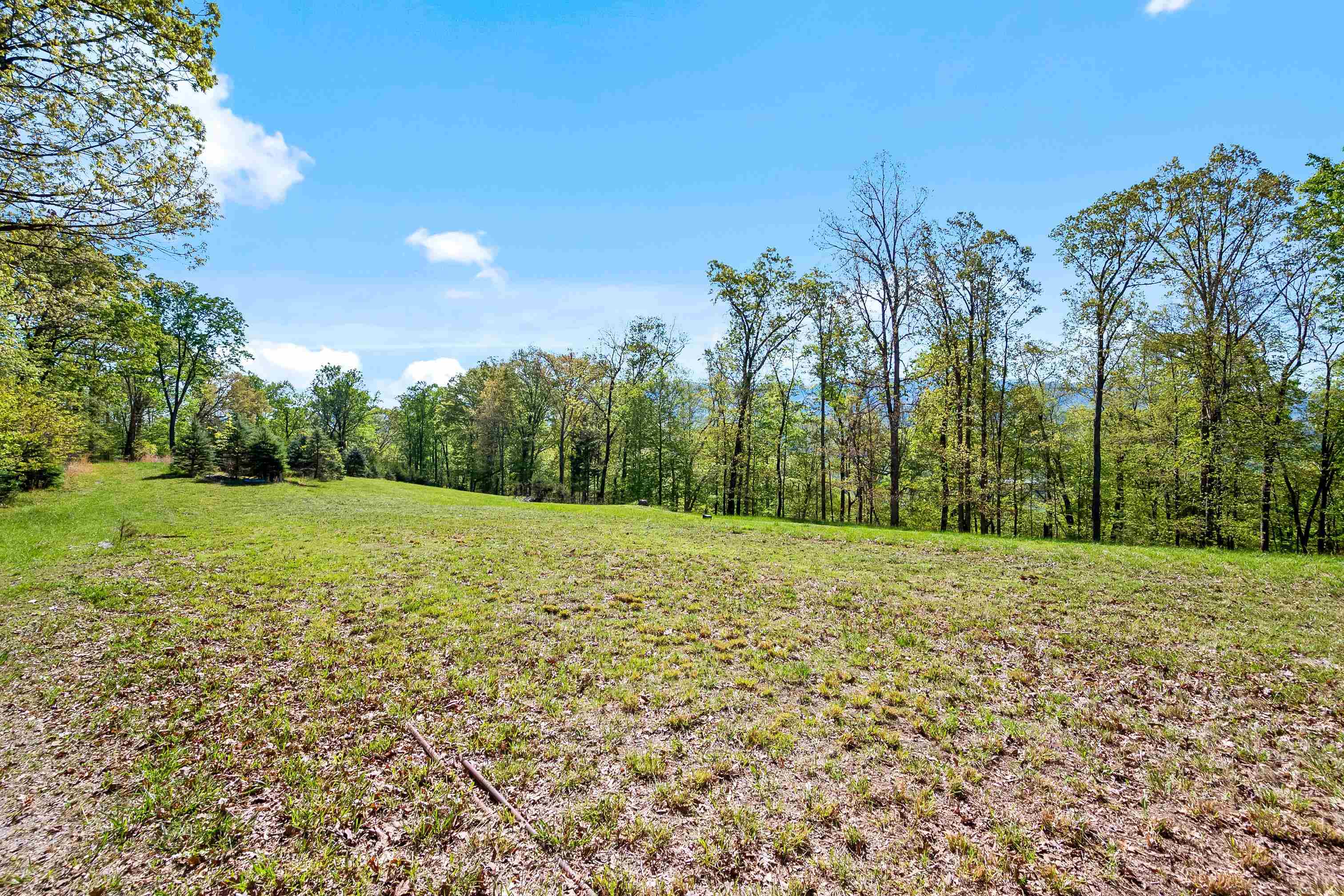 Discover the potential of this hidden gem at 1470 Echo Hills Rd in Elliston, VA. This property is a unique opportunity for the visionary buyer to transform it into their dream home, farm, hunting lodge, wedding venue or investment property. Property presents with a 1bed/1bath cabin, several outbuildings, large woodworking shop with power, a second cabin wired for power. Situated on 71.68 acres in the tranquil community of Elliston, this property offers the serenity of country living with the convenience of nearby amenities. Zoned A1. Property was slated to be the second phase of the Echo Hills subdivision, and contains multiple build sites. Bring your imagination and vision to 1470 Echo Hills Rd. With some TLC and creativity, this property can be transformed into a magnificent opportunity or a profitable investment. Schedule your showing today!