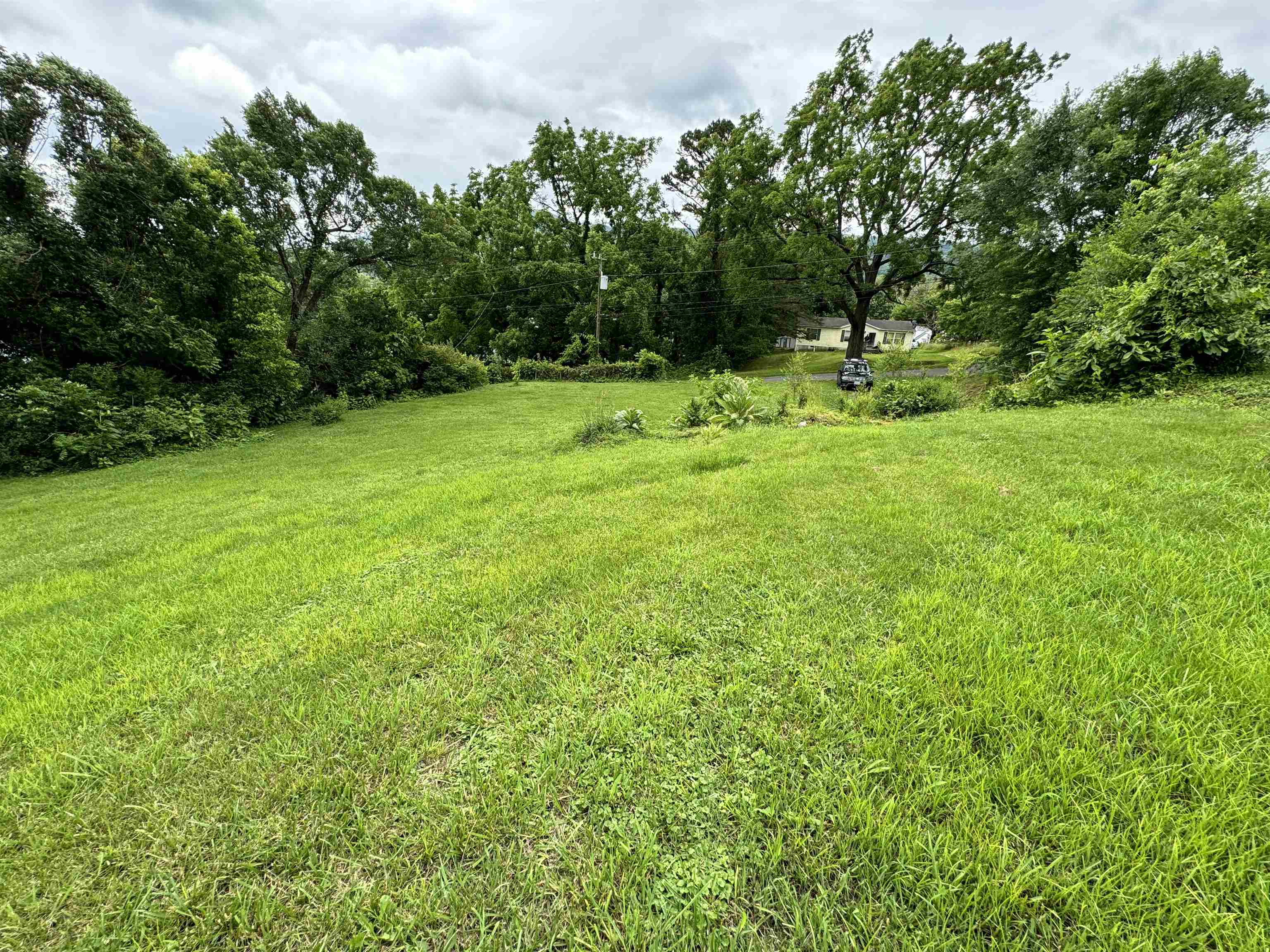 Opportunity awaits with this newly vacant lot in the heart of Pulaski! With its prime location, this .4 acre vacant lot beckons to be transformed into something extraordinary. Call today!