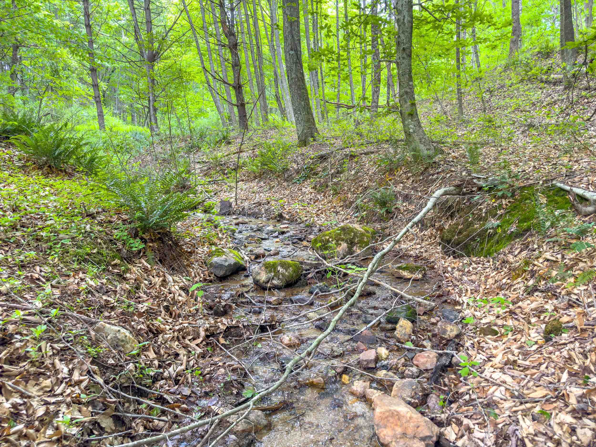 This 34.52 acre track of unrestricted land was recently surveyed. There is a spring head and a small creek. You might be able to build a nice pond. Property has southern exposure and a lot of timber that will most likely be marketable within a few years. There's a gorgeous panoramic view at the top. The front corner of the property joins the Crooked Creek Wildlife Management Area which is 1796 acres of forest and open land offering varied hunting opportunities for deer, turkey, squirrel, fishing, etc. It has 2.8 miles of native trout water and 3.5 miles of stocked rainbow and brown trout. All of this available within a few steps of this gorgeous property. Enjoy everything nature and the area have to offer. Just minutes from I-77, Blue Ridge Parkway, New River & Trail, wineries and everything the VA Blue Ridge Mountains have to offer. You're centrally located about an hour to Winston Salem & Blacksburg. About an hour and a half from Greensboro, Charlotte, Bristol, Roanoke, and more!