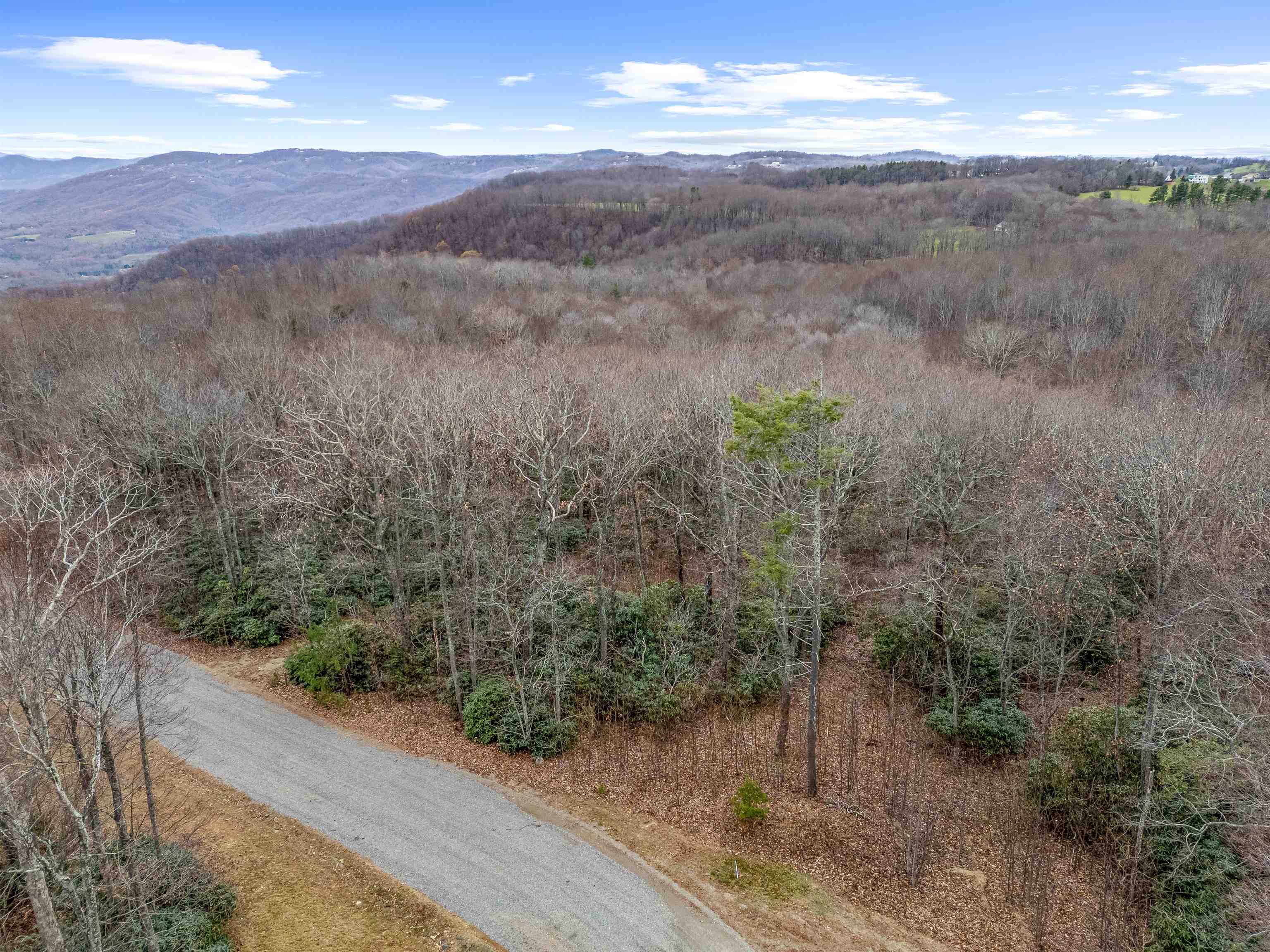 Nestled in the serene beauty of Ararat, VA, this 2.5-acre lot offers a rare opportunity to own a piece of tranquility in a private, sought-after community. Situated off the iconic Blue Ridge Parkway, this property boasts stunning south-facing views, perfect for taking in breathtaking sunrises and sunsets over the surrounding mountains. With a gently rolling landscape, the lot is an ideal canvas for building your dream home or vacation retreat, offering plenty of space for privacy, outdoor living, and future development. The peaceful setting is enhanced by the natural beauty of the area, providing easy access to hiking, wildlife viewing, and the unparalleled beauty of the Blue Ridge Mountains. Local towns include Floyd, Meadows of Dan, Fancy Gap, Hillsville, and Galax. Events are plentiful and regularly occurring throughout the area. Call today to experience mountain living at its finest!