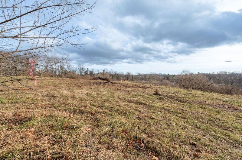 Opportunity to build your dream property! Lot is located about 3.4 miles off of Floyd Highway just out of the Town of Floyd. This versatile piece of property offers potential to build a dream home, start a hobby farm or invest in a future project. With a wide open area, this property is a blank canvas for your vision. High Speed Internet available with Fiber Optic Cable at the property to make it possible to work from home. Call today to schedule a showing.