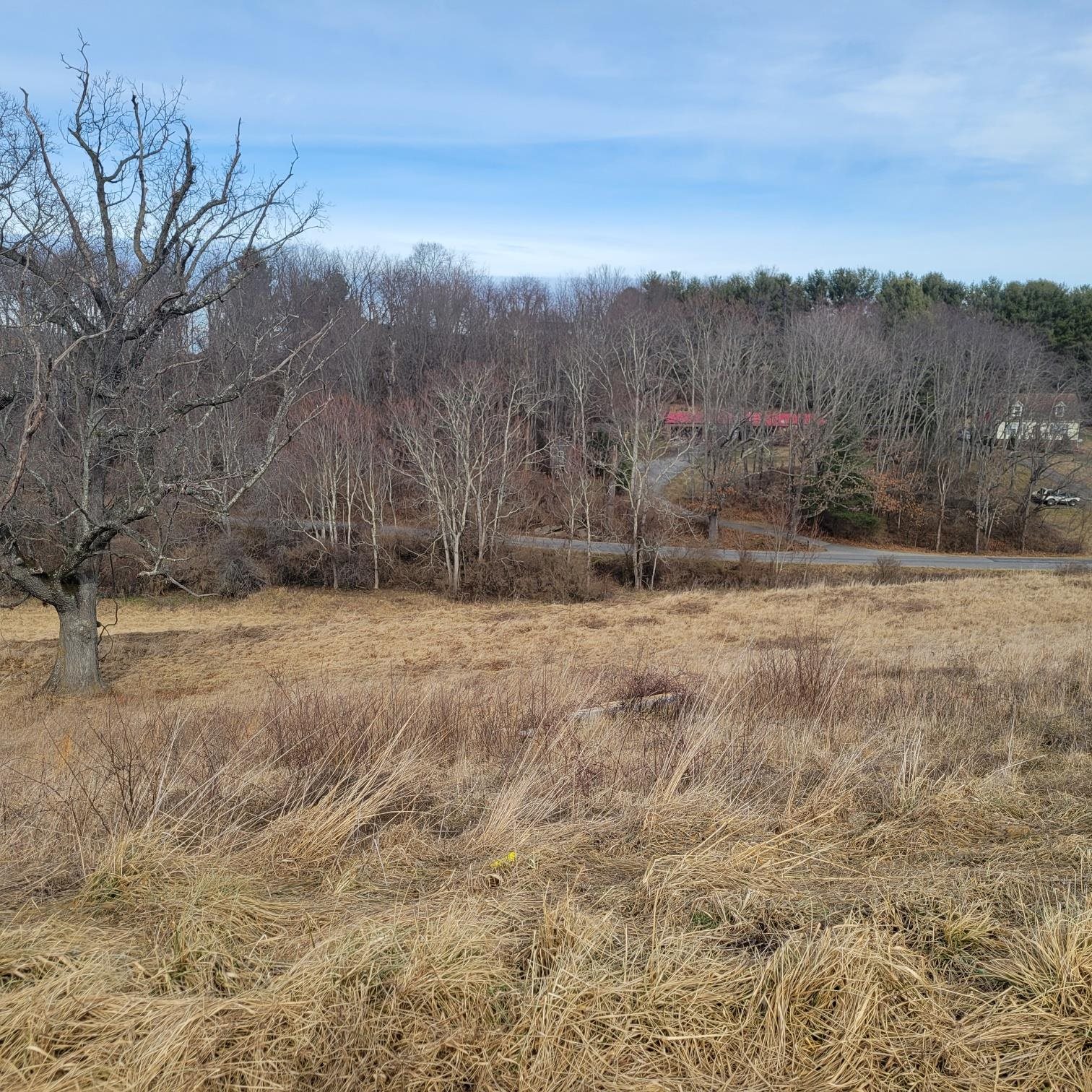 Beautiful Building lot located in Countryside Landing. Subdivision behind Pulaski Middle School. Come build your dream home! Natural Gas, Public water and Sewer. Covenants and Restrictions under Documents.