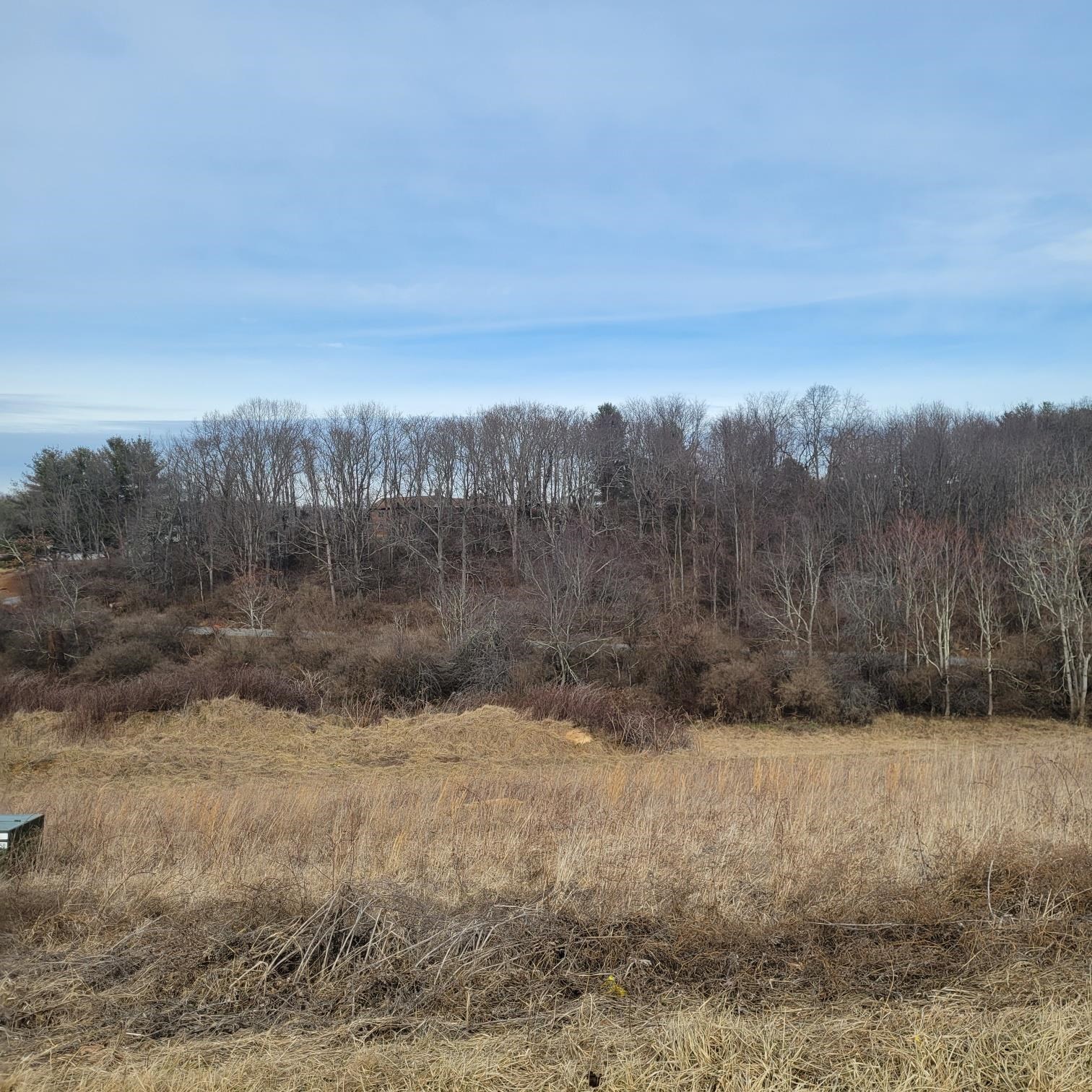 Beautiful Building lot located in Countryside Landing. Subdivision behind Pulaski Middle School. Come build your dream home! Public water and Sewer. Covenants and Restrictions under Documents.