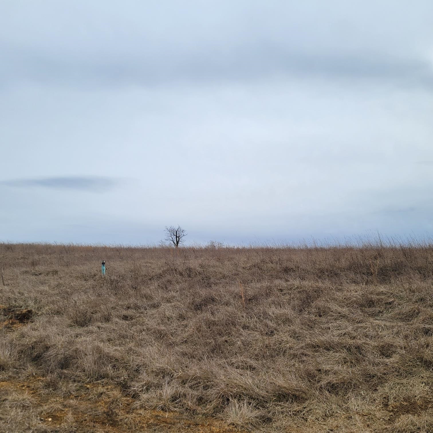Beautiful Building lot located in Countryside Landing. Subdivision behind Pulaski Middle School. Come build your dream home! Public water and Sewer. Covenants and Restrictions under Documents.