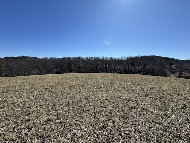 Searching for a place to build or start up a mini farm? Check out this beautiful 25 acre property! The property features 1181' of road frontage and a 50' ROW that allows access for the adjoining 2 lots. Recent additions to the property include a gravel road to allow for easy access to and from the properties and a gate to keep animals in. The property does have a small stream located on the property and is fenced all the way around. This property also offers a few building sites! Don't miss out on this stunning property! Property is know at Lot 4 on the survey. High Speed Fiber Internet Ready and Available