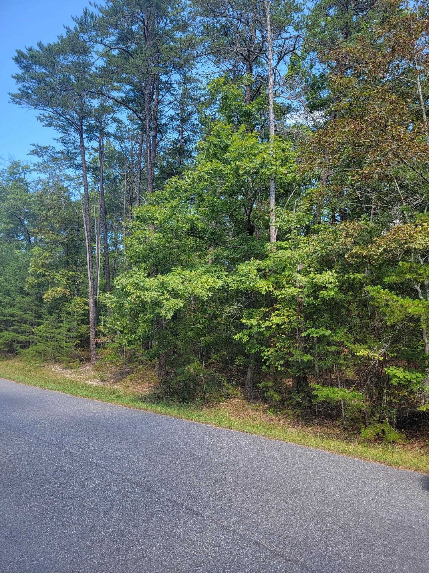 Worthy of your dream home, offering a peaceful retreat! This 3.759 acre lot is in an ideal location for a commute to Blacksburg or Roanoke.