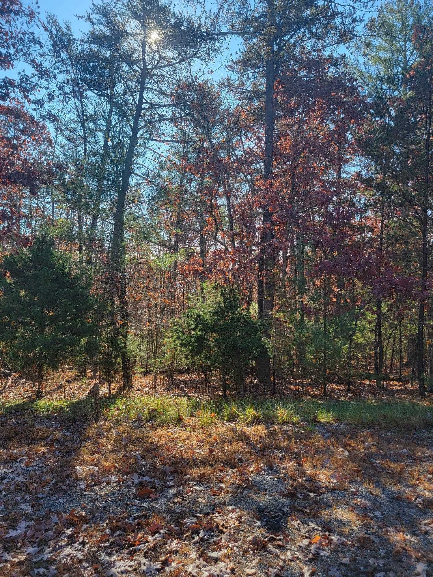 Worthy of your dream home, offering a peaceful retreat! This 5.481 acre lot is in an ideal location for a commute to Blacksburg or Roanoke.