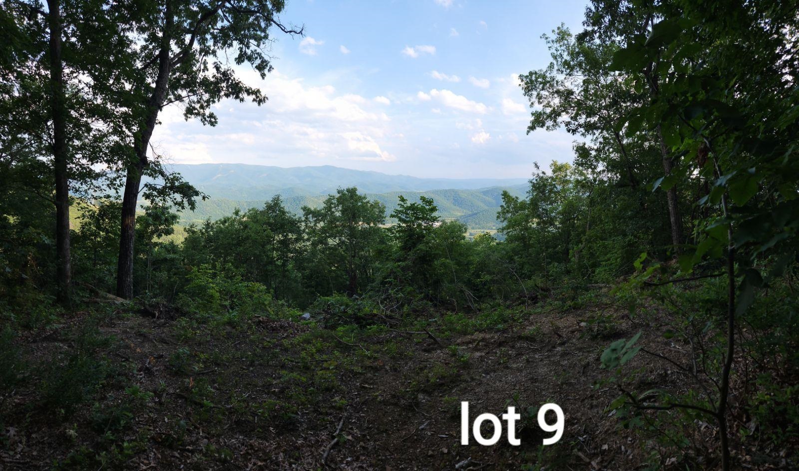 This rural land is perfect for those wanting the beauty of nature with great access to Roanoke and the New River Valley. Heavily wooded, beautiful views, potential build sites already in place, and a survey—a must-see property. Build your dream home or create a getaway cabin. This property meets all the needs of life as you enjoy the majestic views and experience country living.