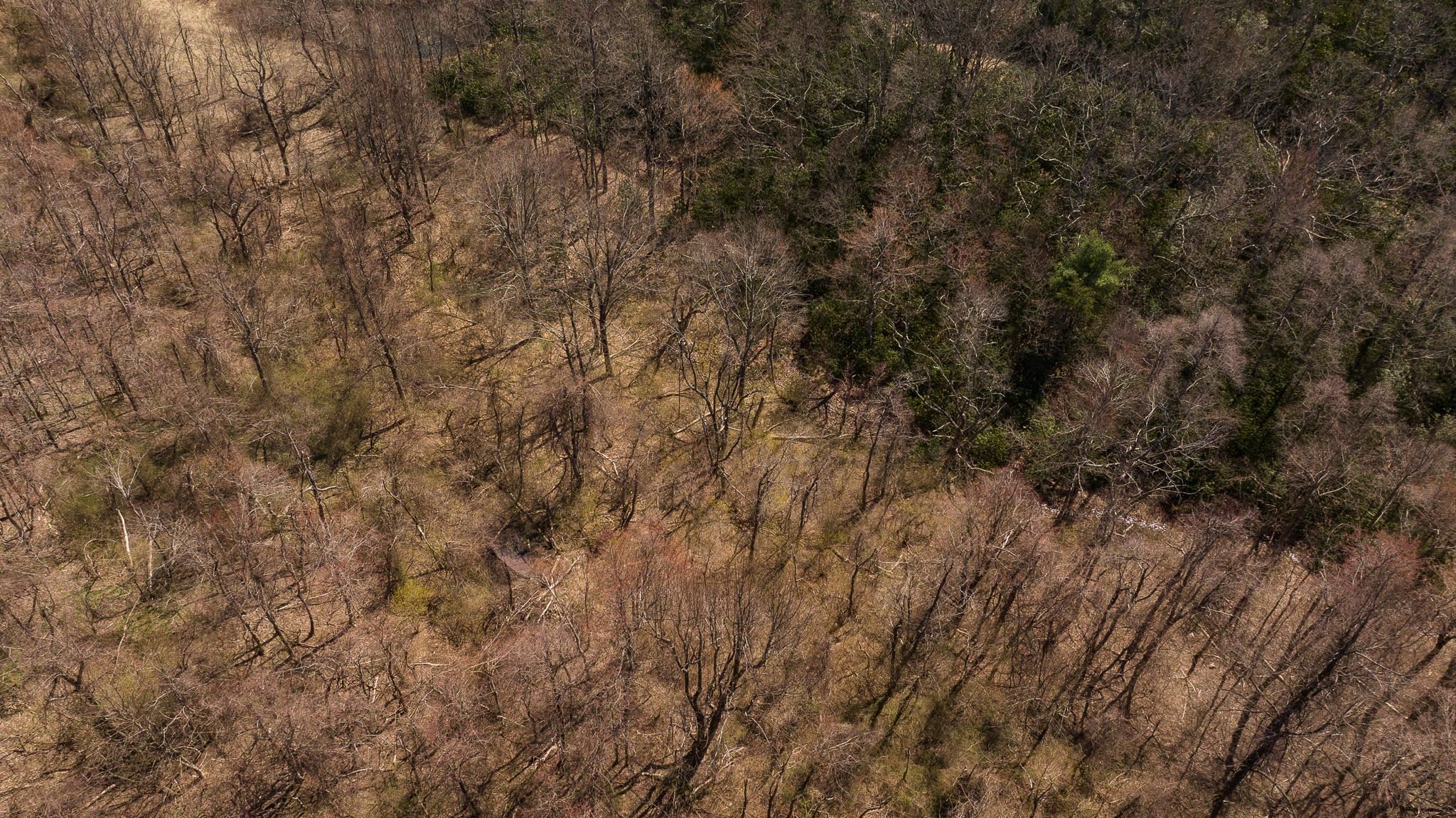 Auction Property: List price may not reflect final sales price. List price is starting bid and non-reflective of value. Auction Ends April 25th at 3 PM. Are you searching for building lots in Meadows of Dan? Look no further than these 3 lots that are being sold at auction. These lots offer stunning views of the Blue Ridge Mountains and are just minutes away from the Blue Ridge Parkway and the Rocky Knob Recreation Area. Purchase 1 or multiple lots to get your desired acreage! Deed restrictions do apply to Offering 1 and 2. See bidder packet for more information. This is known as OFFERING #2. This +/- 2.033 ac tract is gradually sloping and mostly wooded. This tract would be great for building a home or weekend retreat. Property has already been perked. Underground utilities are already in place. Deed restrictions do apply. See bidder packet for more information.