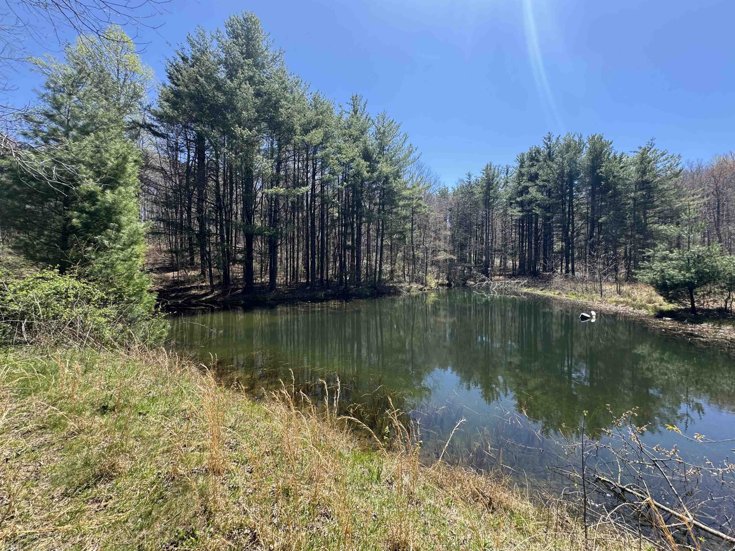 Discover 30 acres of beautiful, versatile land offering the perfect balance of natural beauty and accessibility. This property features a peaceful pond, ideal for fishing, relaxing, or simply enjoying the view. A road has already been cut through the property, providing convenient access and making it easier to envision future development (needs cleared) Whether you're looking to build your dream home surrounded by nature or create a private getaway for recreational activities like hiking, camping, or ATV riding, this land offers endless potential. With ample space and a serene setting, it's a rare opportunity to own a slice of the outdoors with room to grow.