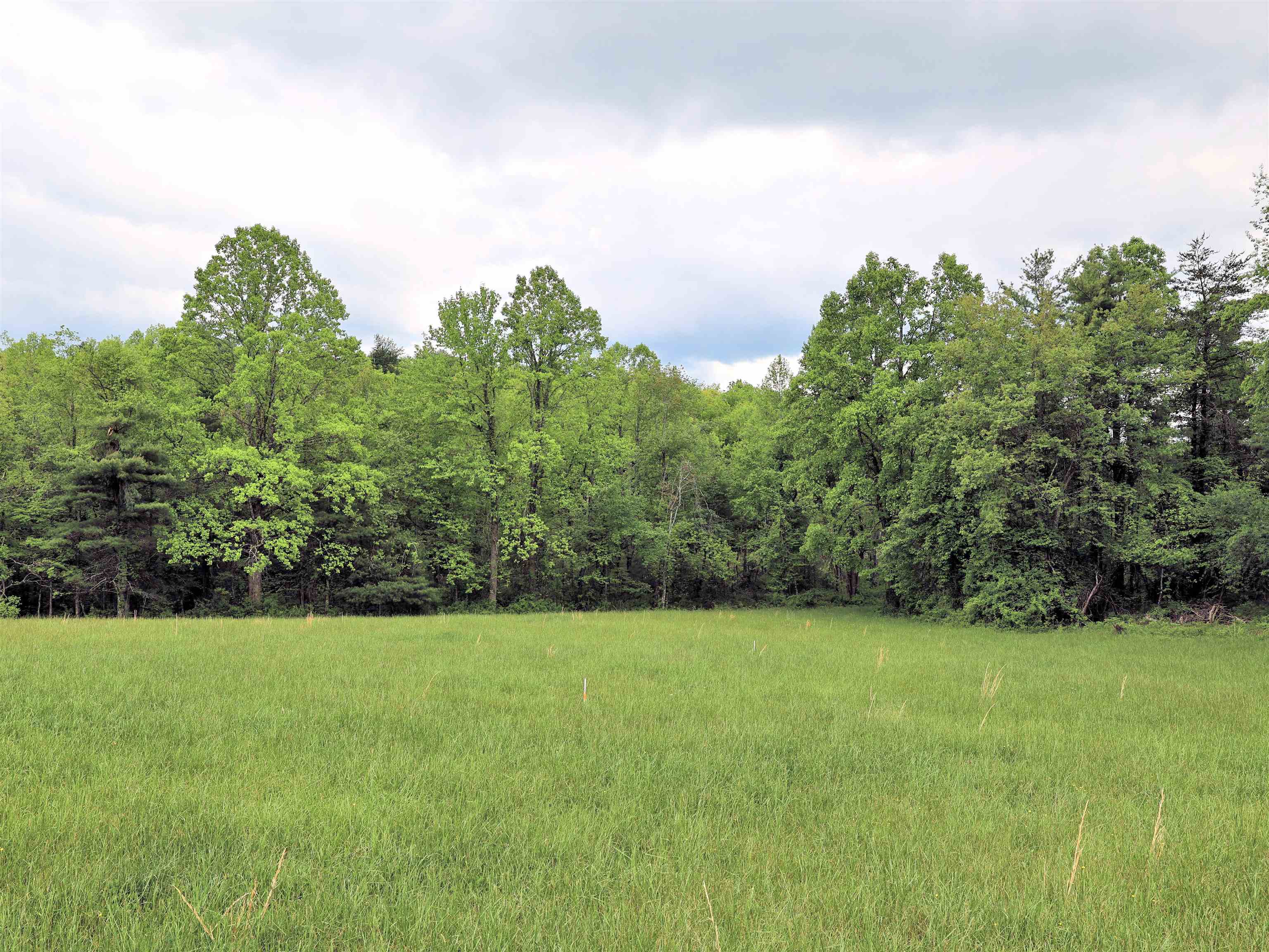 This great building lot located near the Blue Ridge Parkway and not far from downtown Floyd, has a mix of open and wooded land with mountain views and frontage on a paved VDOT Highway.  There is a small stream at the rear of the property.  This lot is ready for your dream home with a newly completed 3 bedroom perk test on file.  Call with any questions or to schedule a showing today!