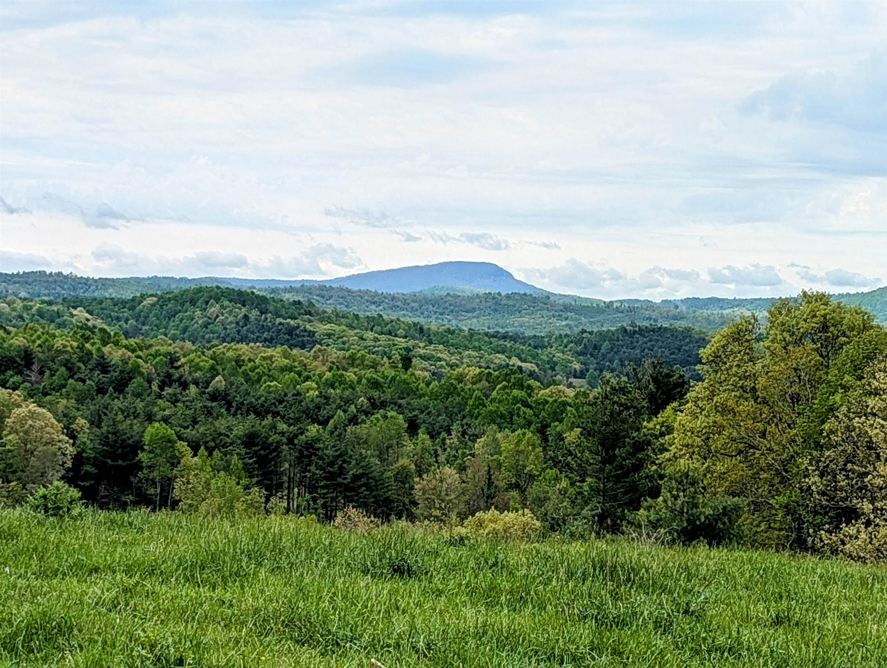 41.72+/- Acres located in Willis VA offering approximately 2,300 FT of state road frontage.   This property has served as cattle grazing pasture for decades, currently leased with cattle.  A spring branch offers a great site for a future pond and you are sure to enjoy the view of Buffalo Mtn from the top of the ridge!  The old barn will need a little attention if you wanted to utilize it for it's original purpose.  Approximate 50/50 split between open pasture and wooded area.  Would serve well for continued farming, recreation or home site.