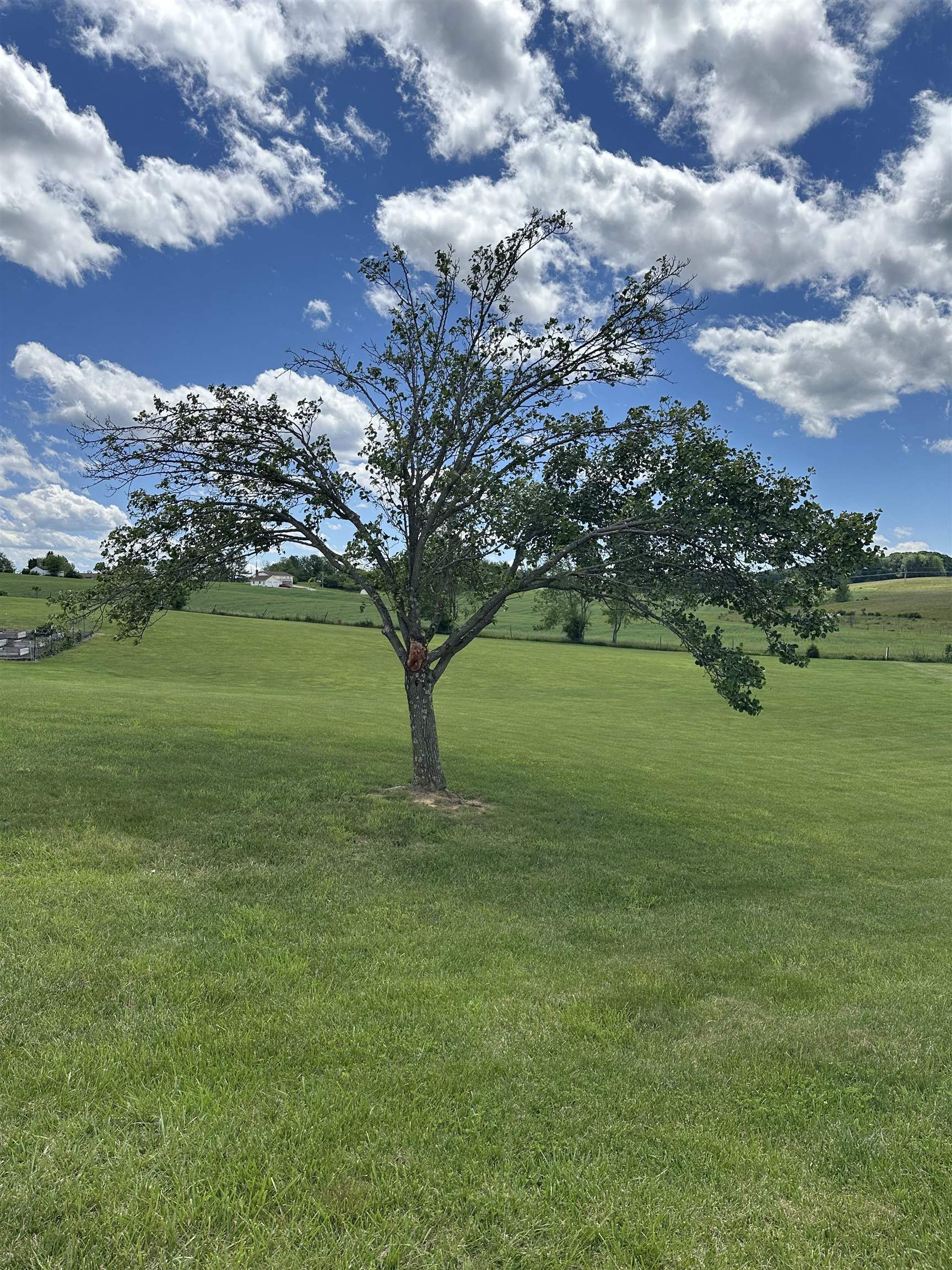 Discover the perfect setting for your future home in Heritage Place which is one of the most sought-after communities. This beautiful, build-ready lot offers a rare combination of peaceful country charm and modern convenience — complete with expansive views of open farmland that you can enjoy on your back deck after a long hard day!