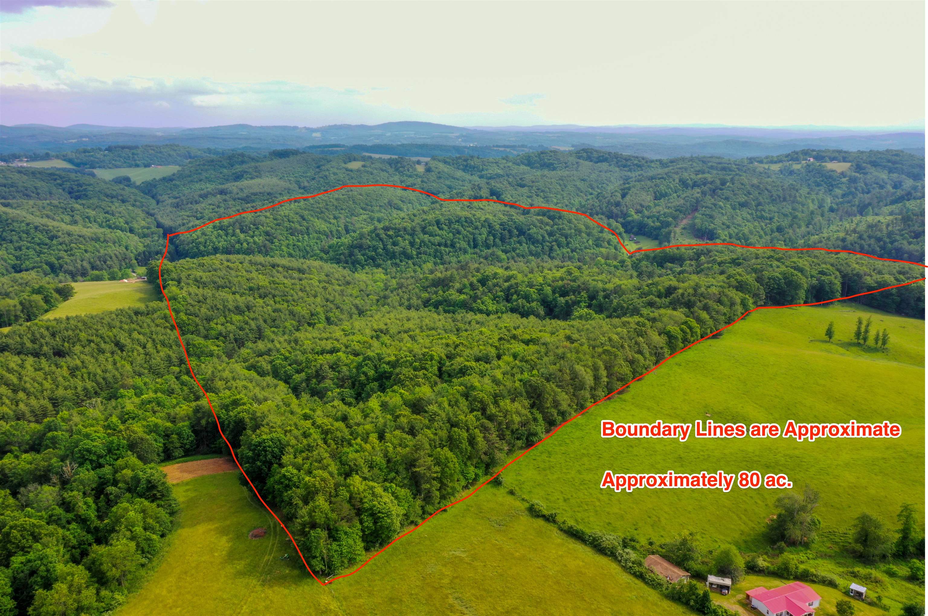Wooded tract with over 1,000' of creek frontage! With frontage on two state maintained roads, this property can be easily divided. Would be great for either a recreational property or to build your home in the country! Located in Floyd County, its just a short drive to multiple towns such as Christiansburg, Floyd, Hillsville, Blacksburg, and Radford! Abundant wildlife for nature lovers! Fiber internet up to a gig speed available! Property is Owner/Broker. Boundary lines shown are approximate and purchaser to verify all information.