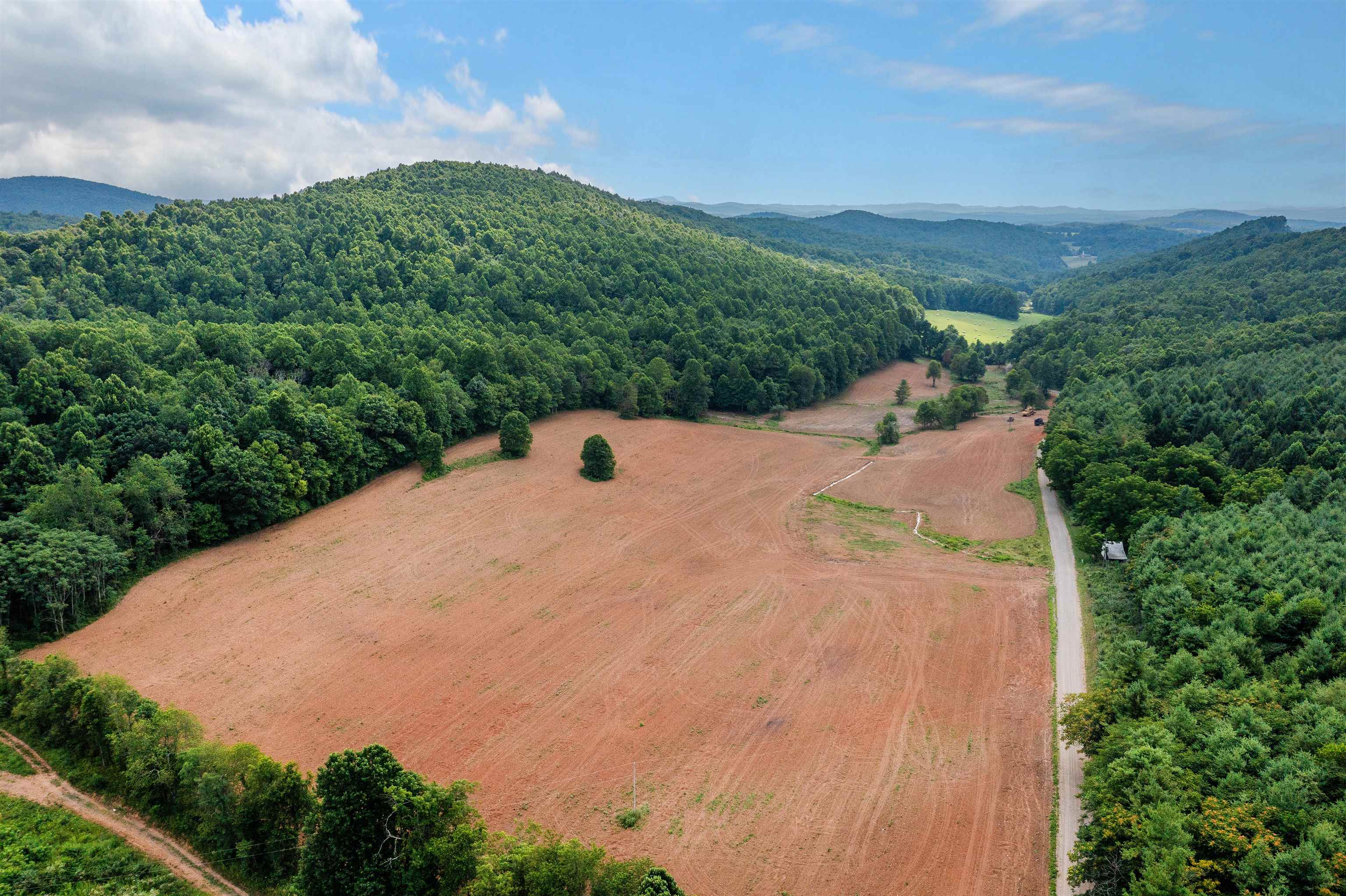 Here is your chance to own large acreage just off of the Blue Ridge Parkway! This 110 acres has a good mixture with 85 acres of mature timber and 25 acres good pasture land, ideal for horses. Just seven tenths of a mile from the Blue Ridge Parkway on a state maintained road, and just 10 minutes from the Town of Floyd, you can enjoy the peace and quiet of your country retreat, and hop on the Parkway for a relaxing ride. There is 1,500' of creek frontage on the cleared acreage. Beautiful long range mountain views, abundant wildlife, and multiple spots you can build your dream home on.  Property is Owner/Broker.  Purchaser to verify any information.