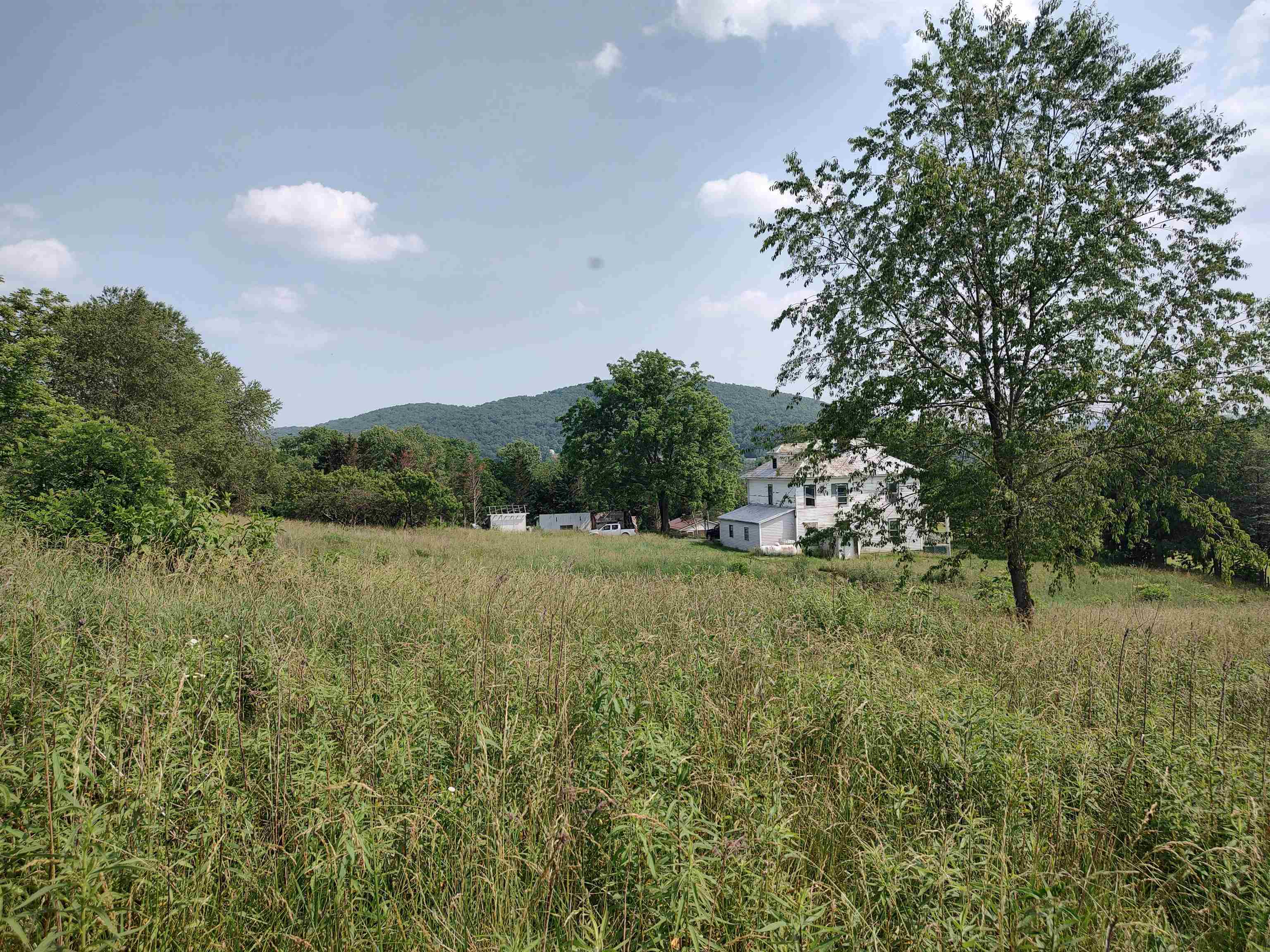 Investment opportunity 1900's Colonial House on 3.8 acres of land in Max Meadows area. This property has options, you could restore the current house, or build a new house on the land. Turn this property into a mini farm and use for livestock, there are fruit trees already on the property. Outbuildings and sheds for storage. This property is being sold at tax assessment value.
