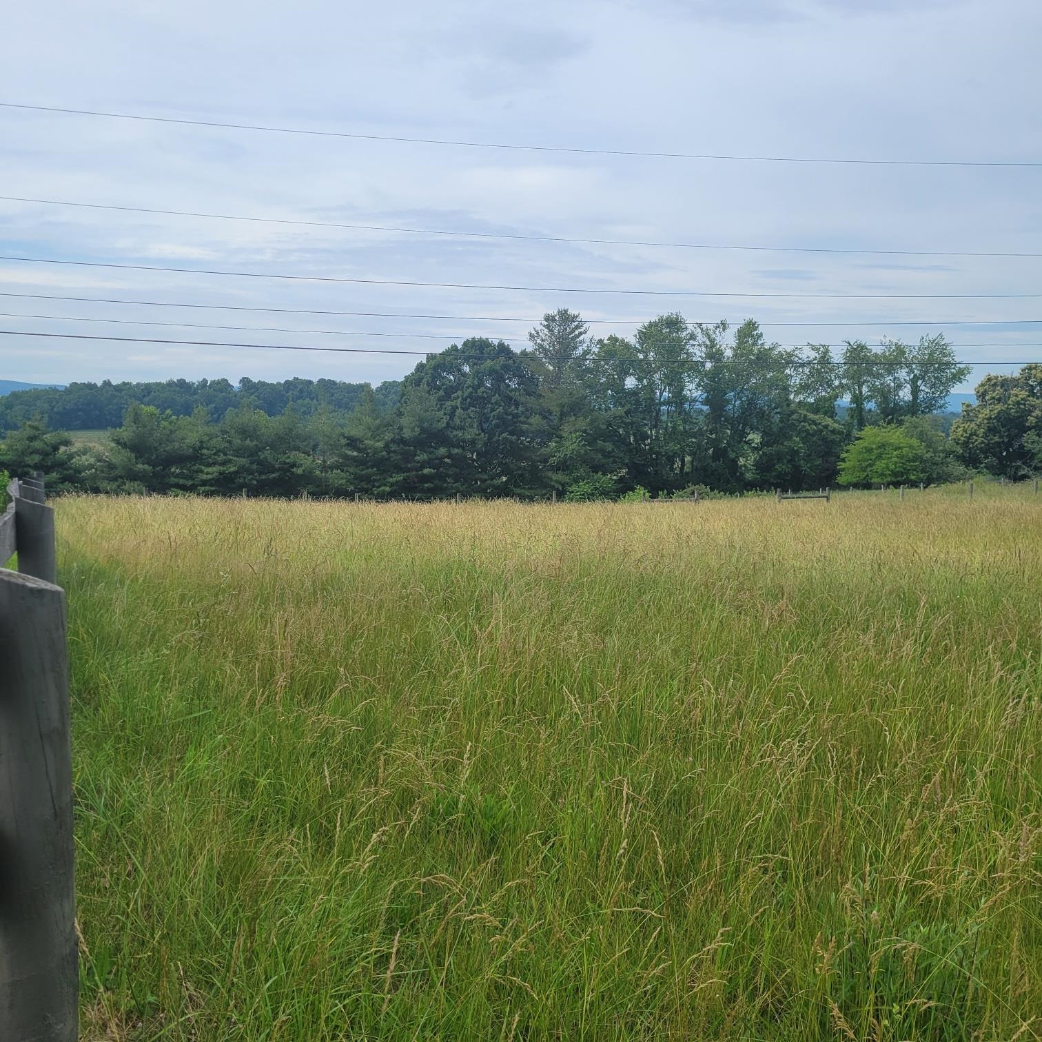 Beautiful 2.5 acre lot in Christiansburg. Slightly sloping. Great views, partially fenced.