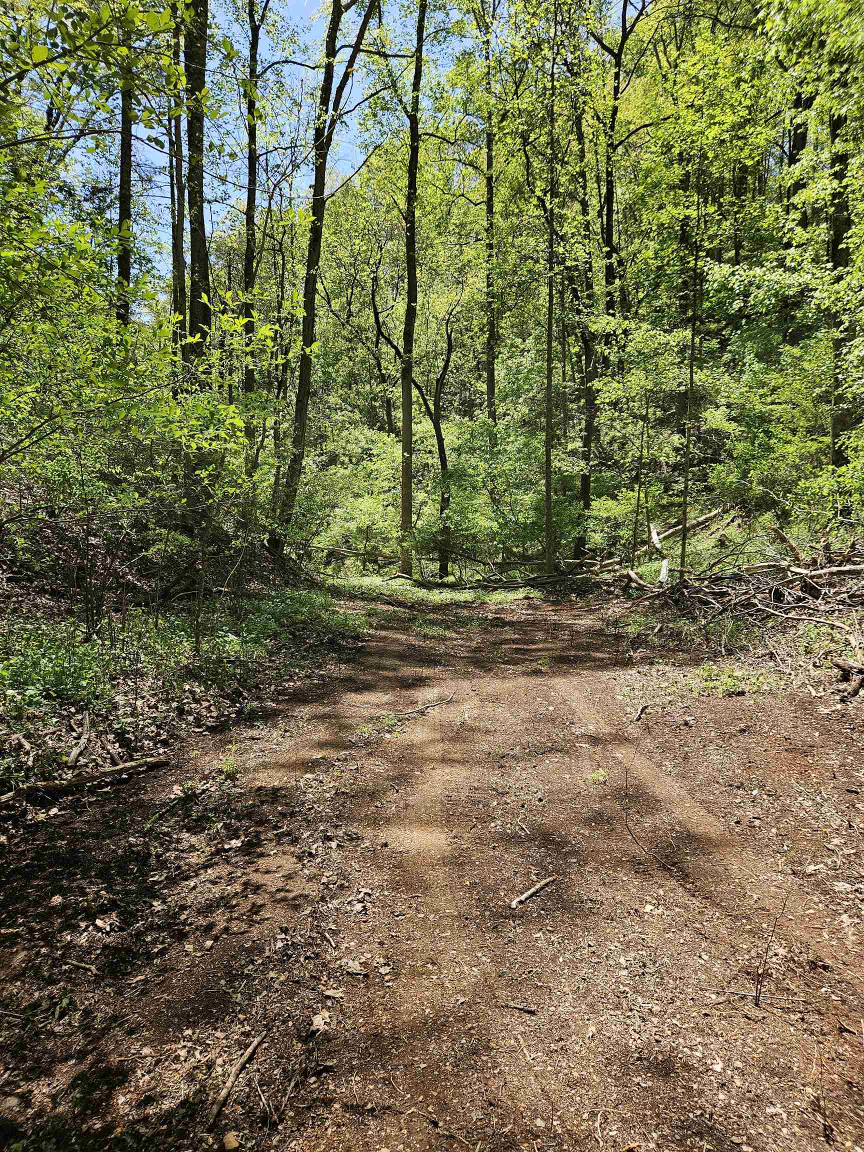 Lot #4. This +/- 2.5818 acre tract is mostly wooded with a gentle descending slope. Property is accessed by the easement road. Build your lake getaway home on the ridgeline overlooking the easement road and looking down on the lake cove. This tract has lake access and frontage for an approved dock and touches the lake cove. The lots adjoin, so you can purchase one or multiple lots to get your desired acreage! The drainfield information for Offering #4 is as follows: Two bedroom gravity primary with Puraflo drip irrigation reserve. Engineering design required for reserve. Pump chamber required due to drainfield location.