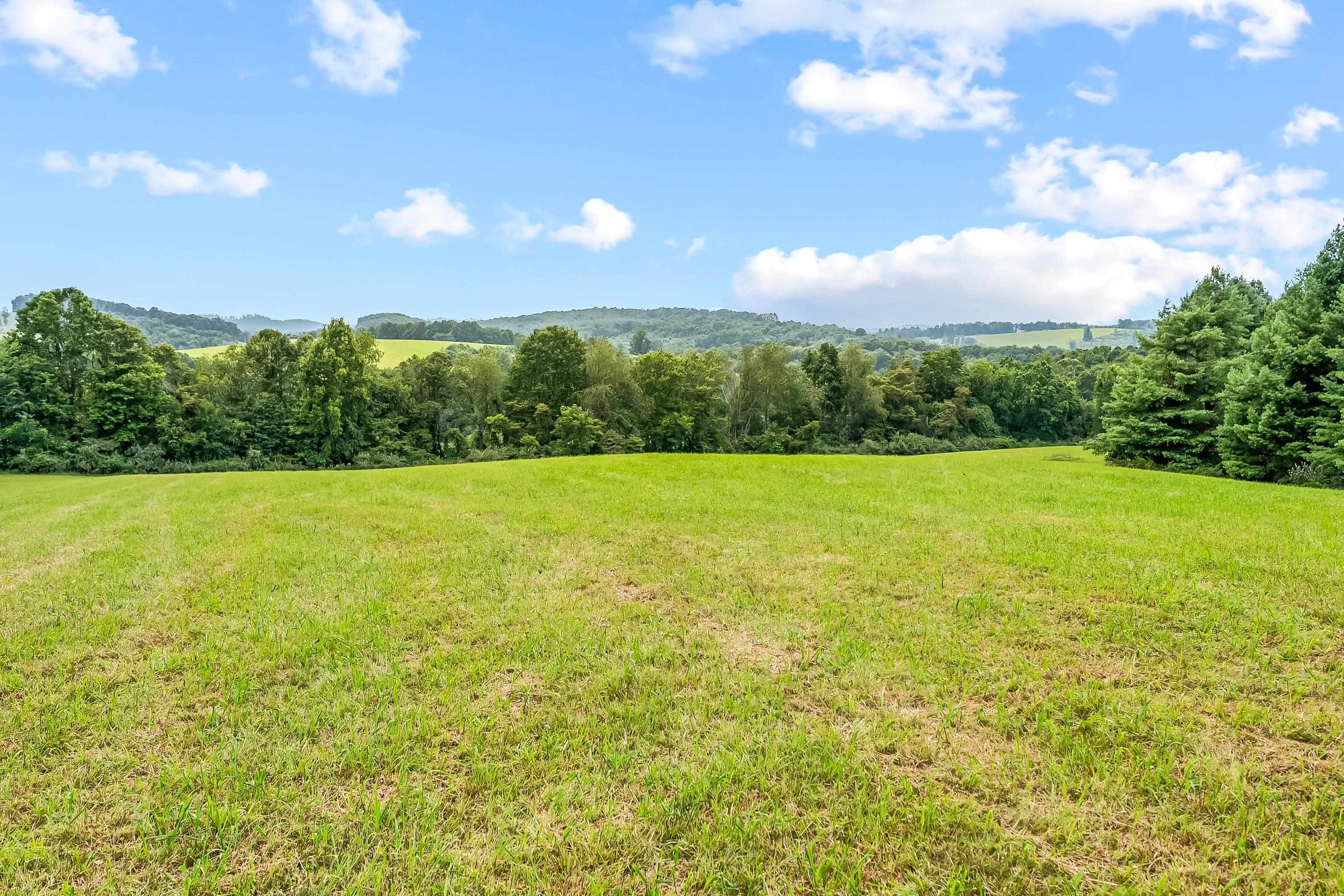 Beautiful unrestricted acreage only 5 miles to downtown Floyd in the heart of the Blue Ridge Mountains. Gently rolling hay fields and mature forest are your canvas to create your private mountain estate, horse or cattle farm, hunting paradise or family compound, the possibilities are many. This property boasts 2 creeks, beautifully maintained pasture that has been used for hay, mature hardwoods and conifers, long range mountain views and plenty of privacy.  Located just 7 minutes to downtown Floyd and the Blue Ridge Parkway, this property is perfectly situated to enjoy all of the wonderful events and adventures that Floyd has to offer.  Shown by appointment only.
