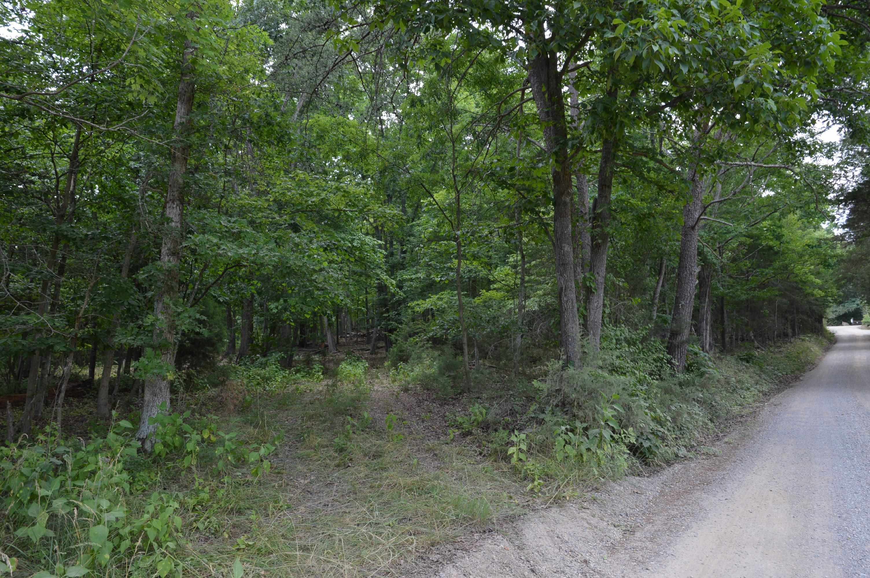 This 5.683 acre rural lot has a nice homesite with mountain views and the beauty and sound of a waterfall.  The property is surveyed and has long road and stream frontage. No utilities currently on property, but electric is nearby. Just after 2671 Paris Mountain Rd on left. Owner/Agent