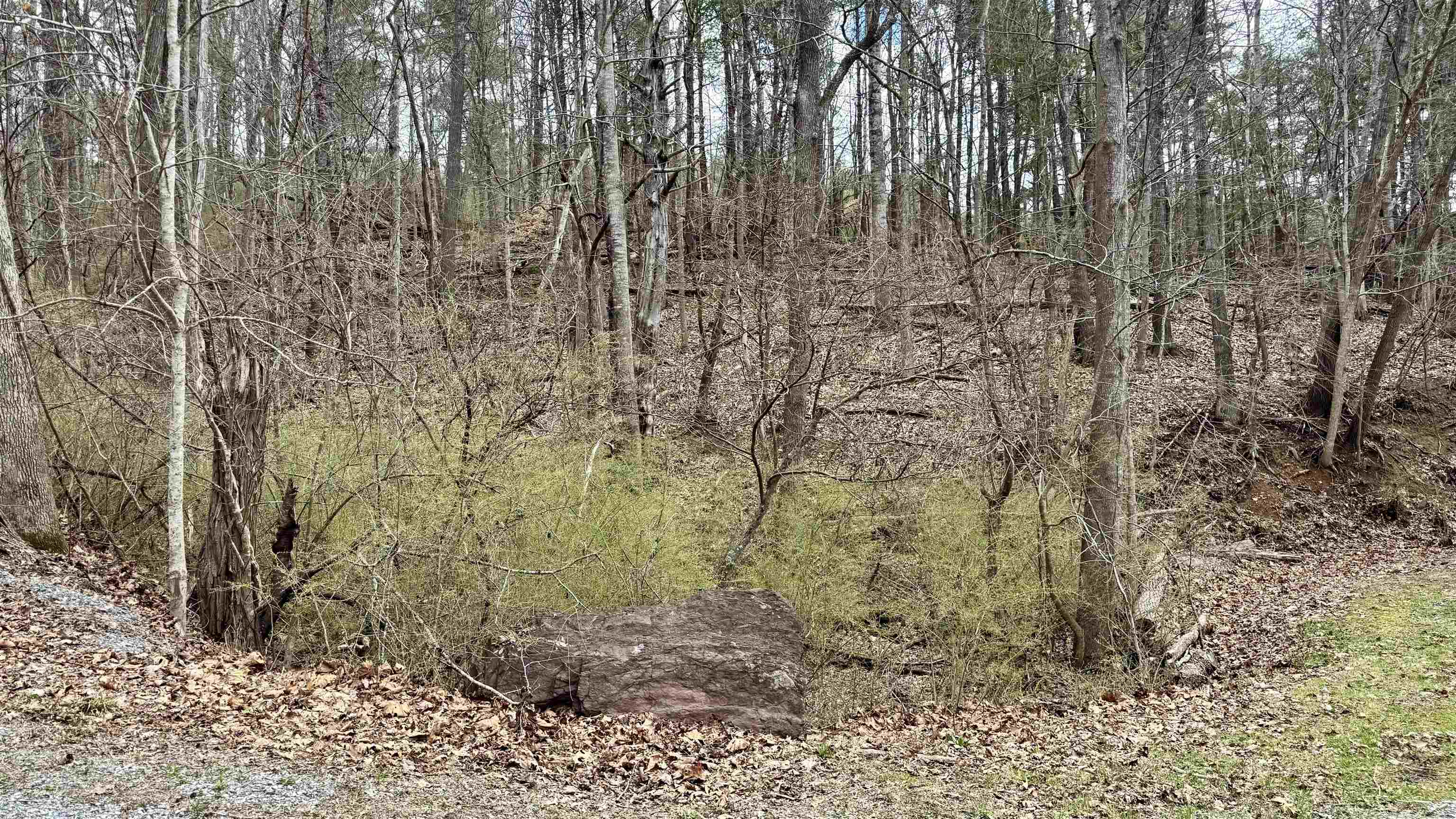 Come build you dream home on this wooded acreage just five minutes from town. This perked site is just around the corner from the new Truss Bridge Park on Reed Creek. Take advantage of the convenience and privacy of this over sized lot (includes two parcels). Lot has been perked. The privacy and convenience cannot be beat. Build your dream house in the woods but be back in town in five minutes!