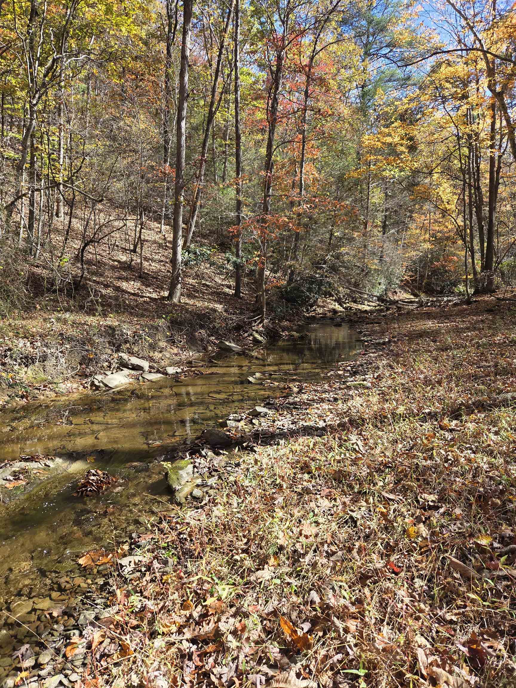 This beautiful 2.5 acres boarders the railroad and is landlocked with no street access. Slate Branch runs through the property. It's peaceful and full of nature. Buyer and Buyer's agent would need to research if an access could be obtained by adjoining properties and best use based on location.