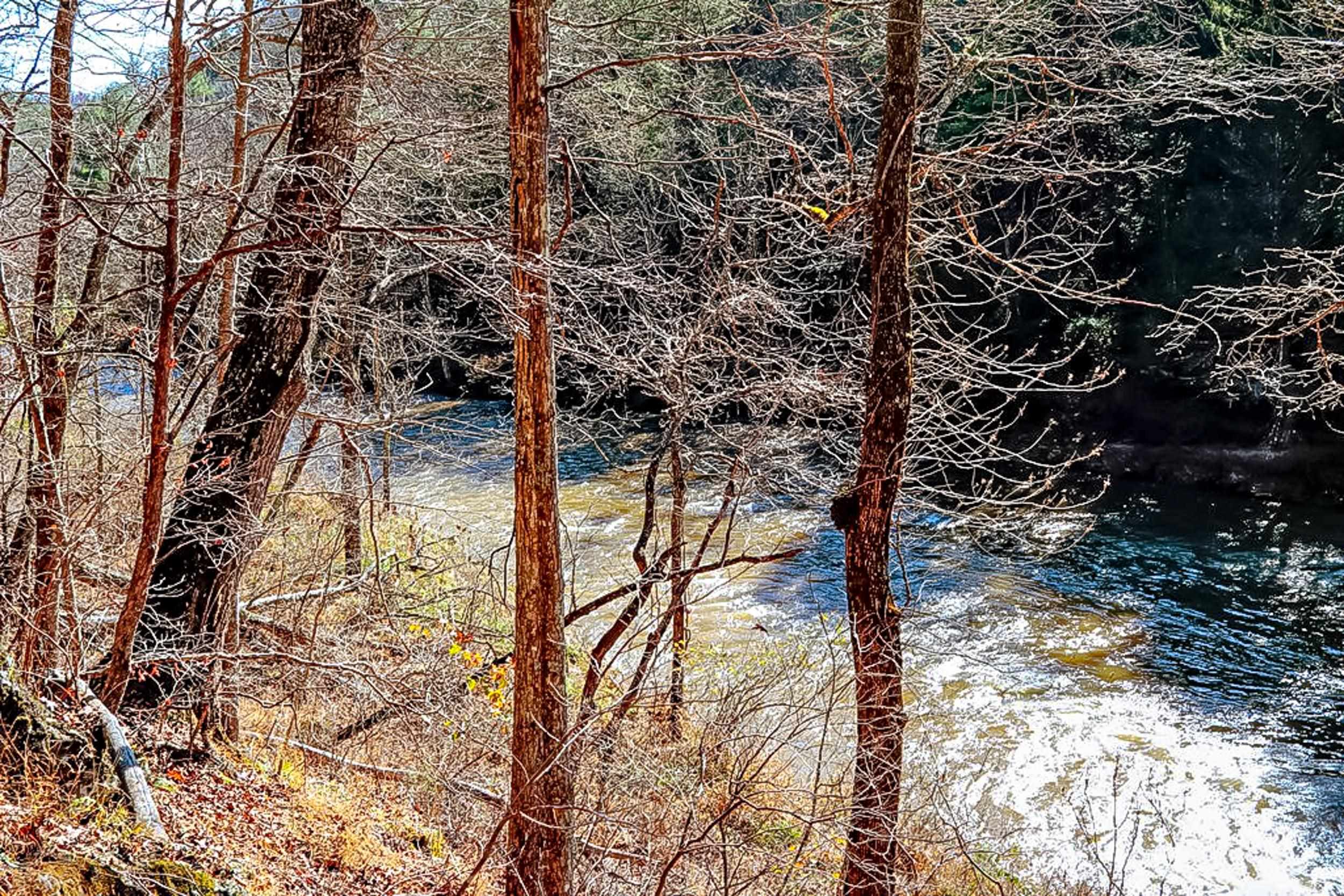 Beautiful 5-acre lot in River Pointe with long-range mountain views and a great overlook of Little Reed Island Creek. A short hike leads to about 355 feet of private creek frontage, perfect for fishing, swimming, and kayaking. Multiple potential homesites offer a peaceful setting for a full-time home or mountain retreat. River Pointe is a quiet community with basic covenants: residential use only, no mobile or temporary homes, approved septic required, no junk or debris, VDOT-standard driveways, no nuisances, and no subdividing. A 30-foot utility easement runs along the front, and owners share road maintenance costs. According to the seller, the annual community fee is about $100. This property provides a rare blend of views, privacy, and water access in a well-kept neighborhood.