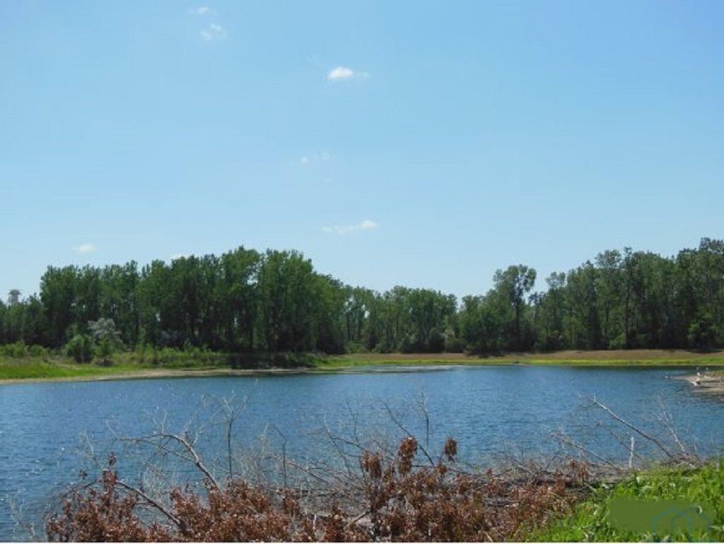 Homes For Sale at Cardinal Court-Phase 5