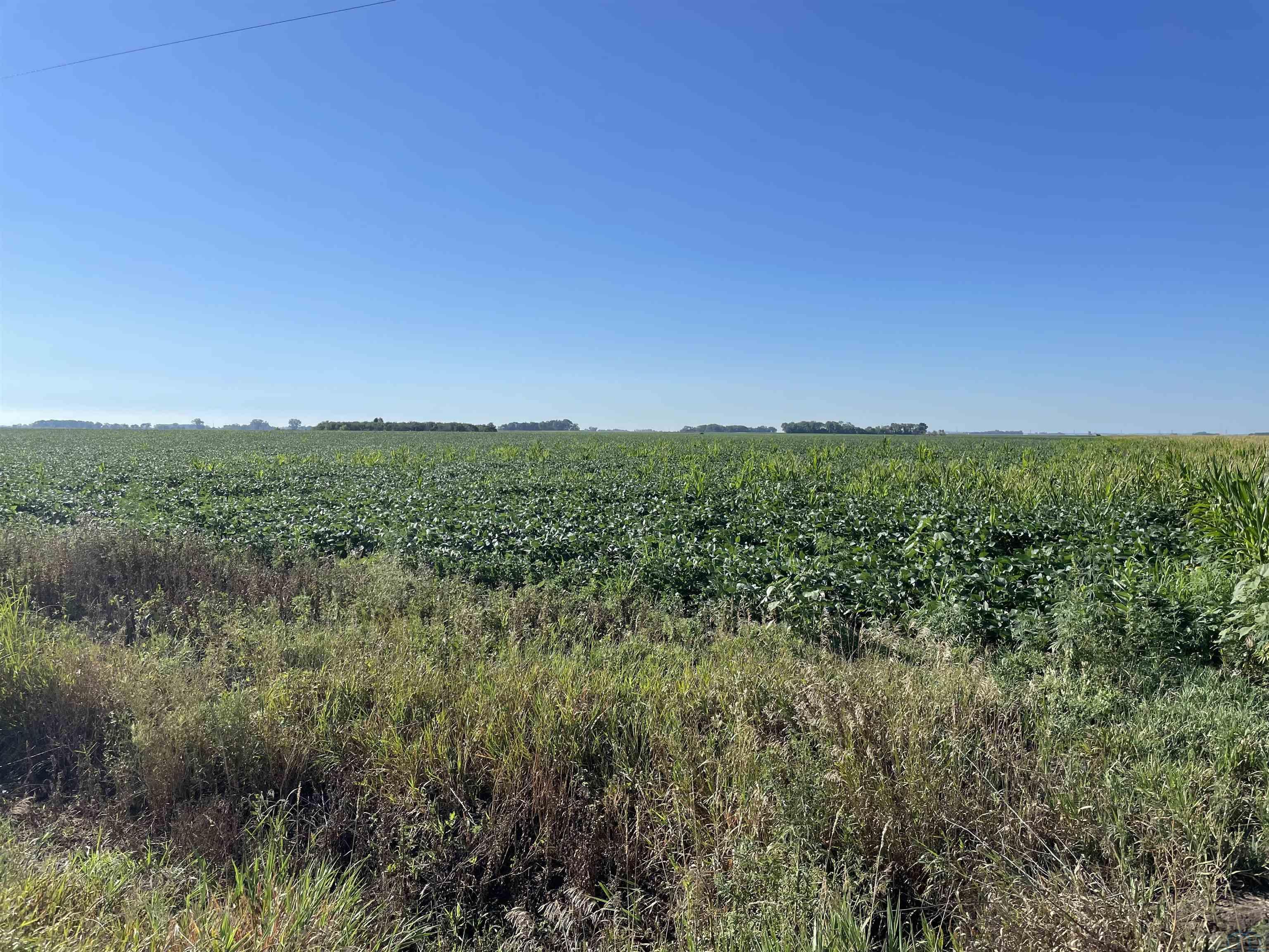 Homes For Sale at 313 st