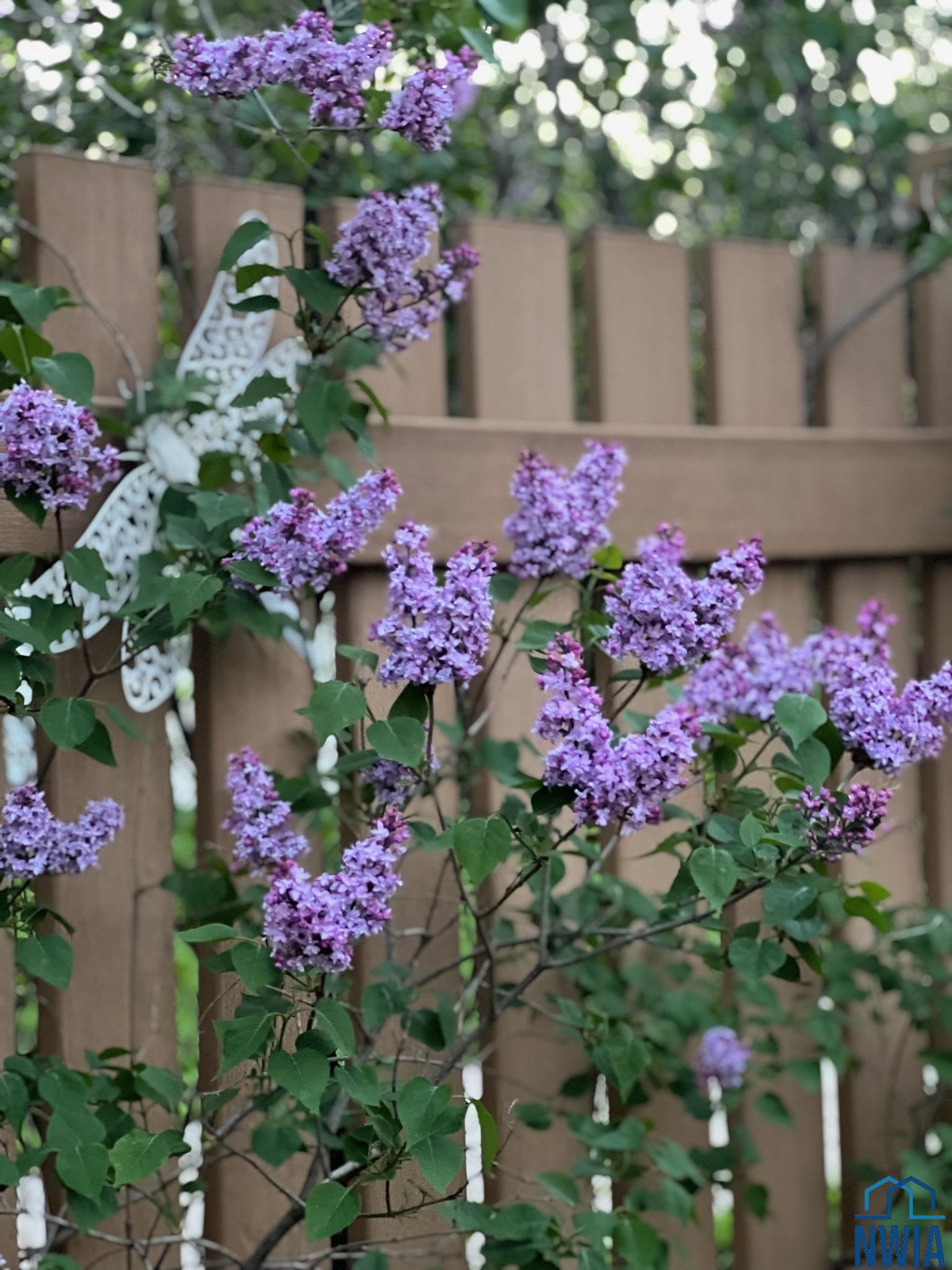 Homes For Sale at 4th Avenue SE