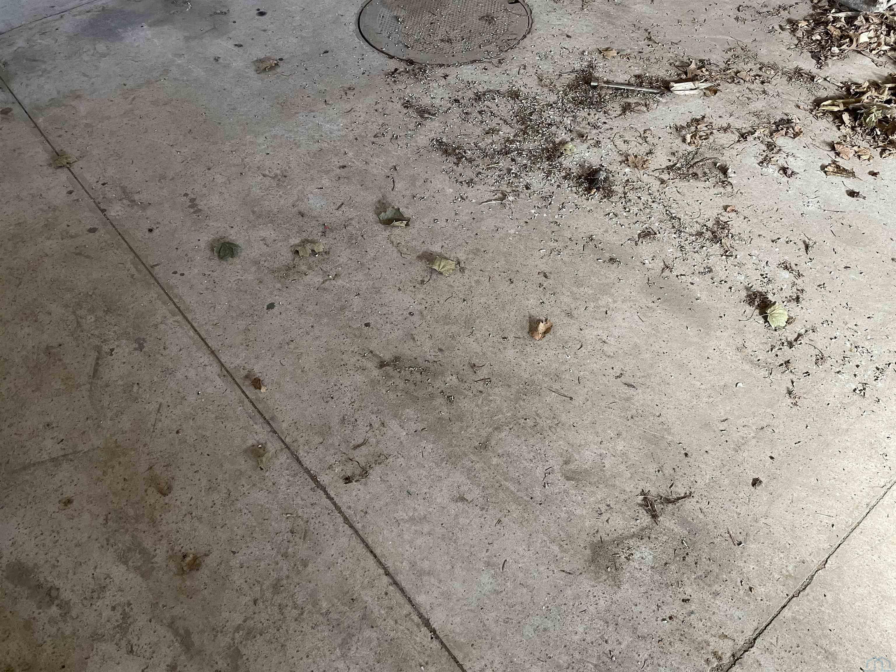 MLS# 820267 for Sale