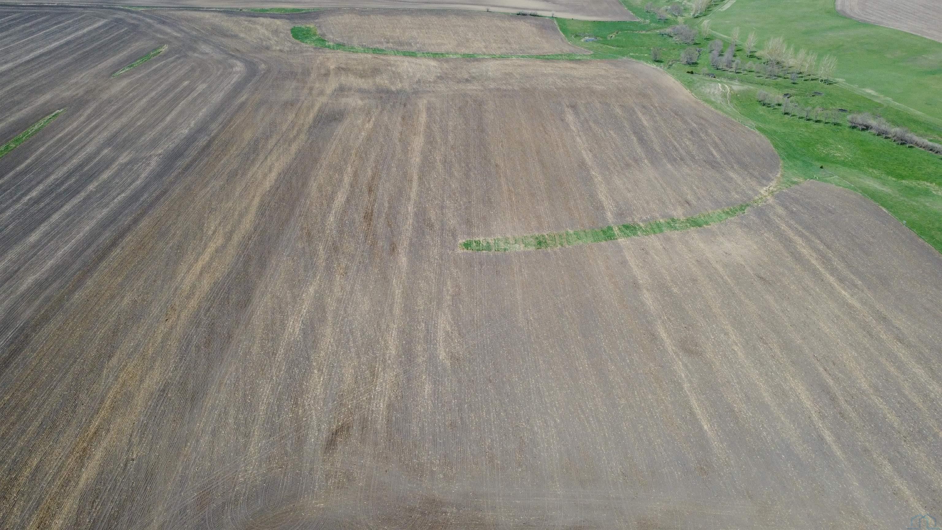 Homes For Sale at HWY 59