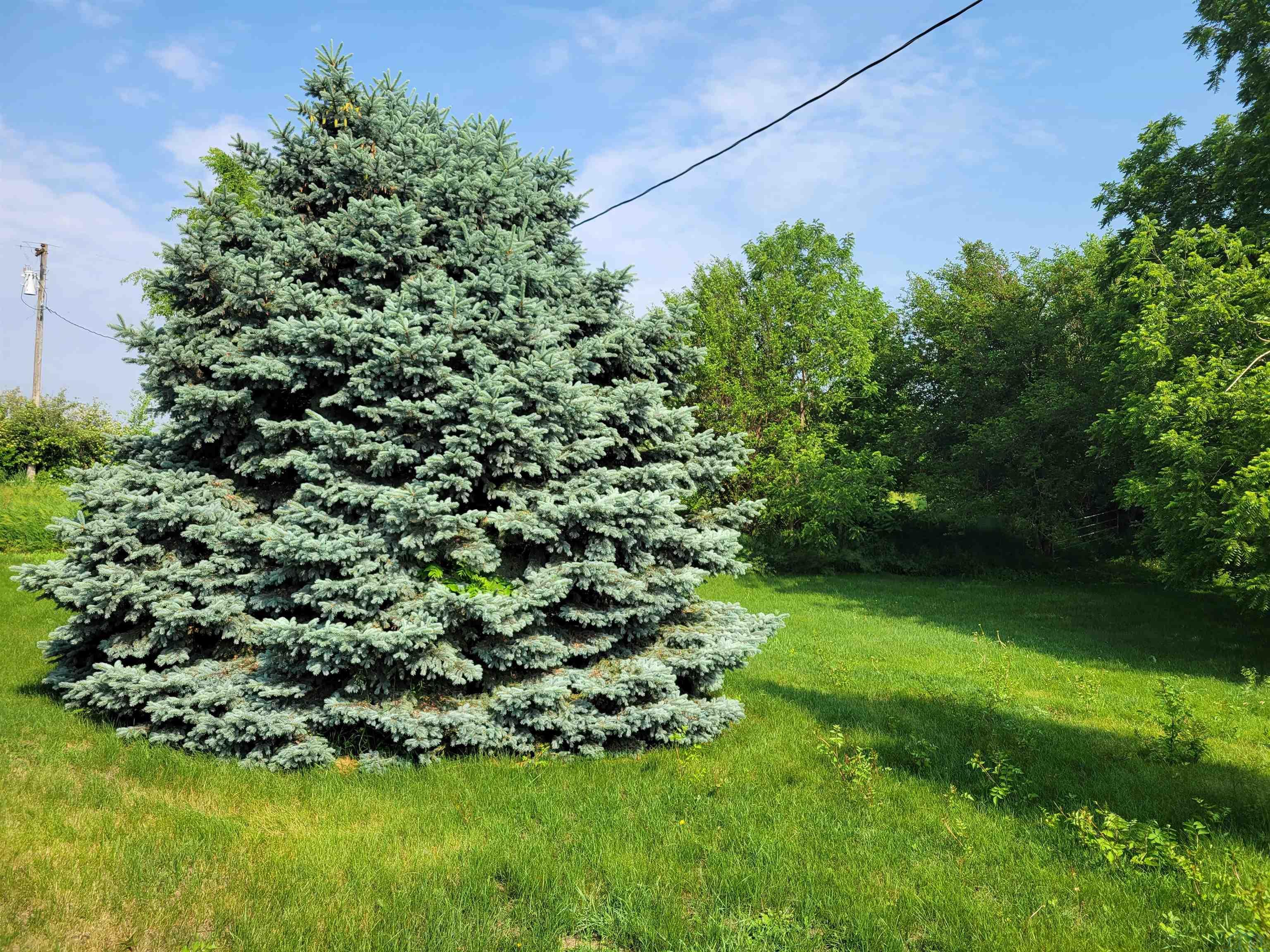 MLS# 821254 for Sale