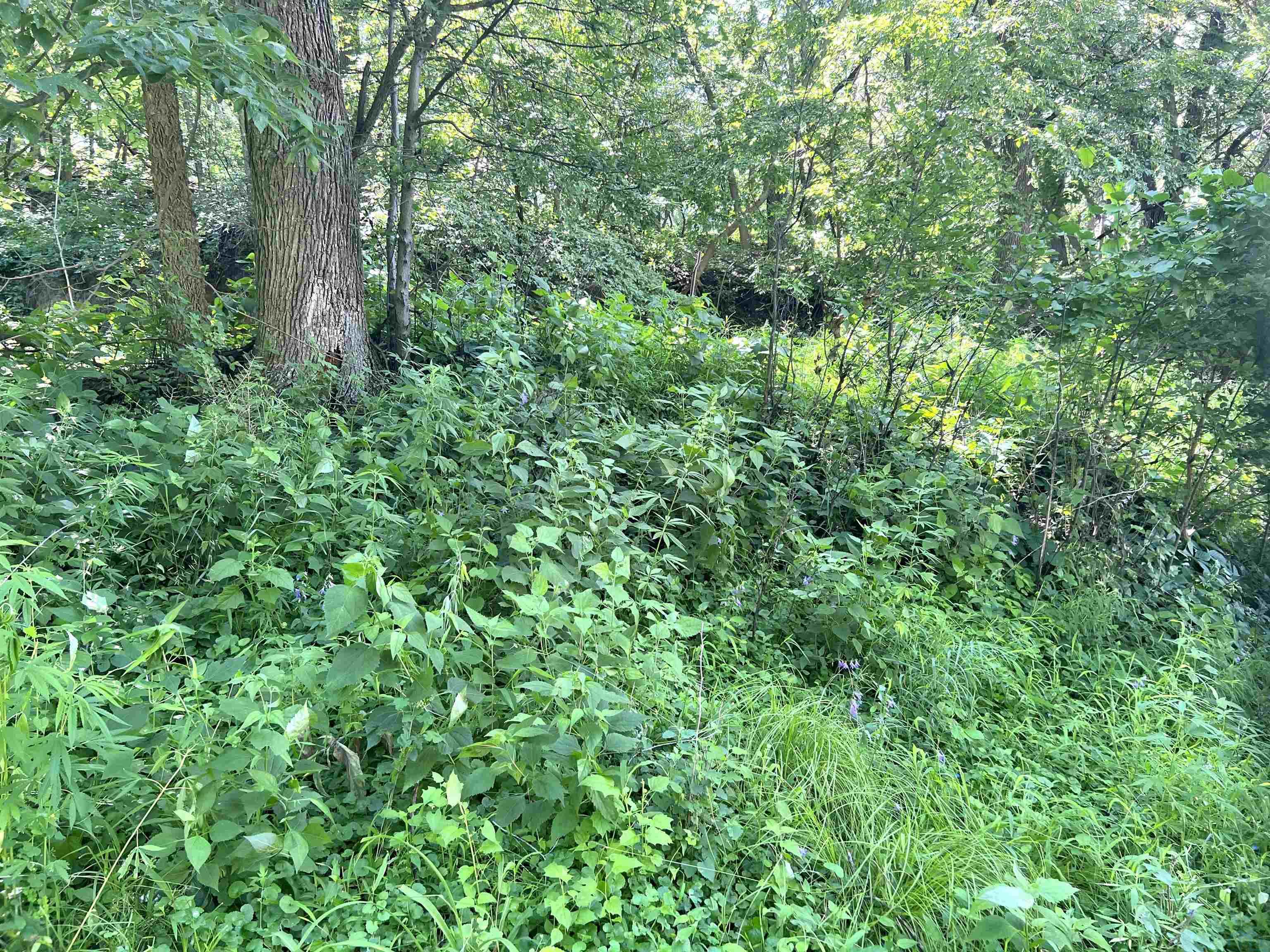 Homes For Sale at MILITARY RD