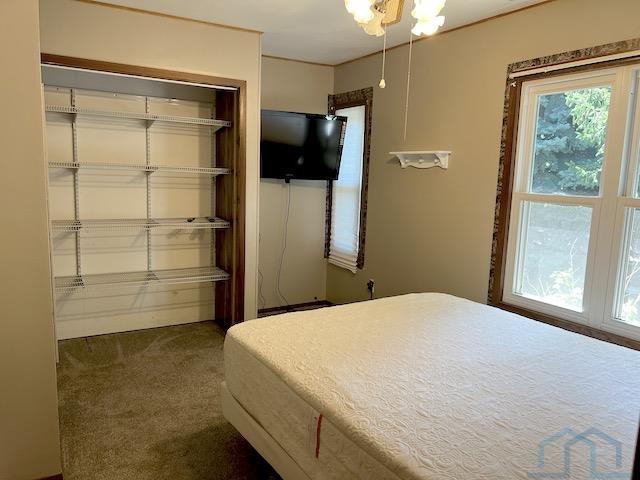 Homes For Sale at Cedar