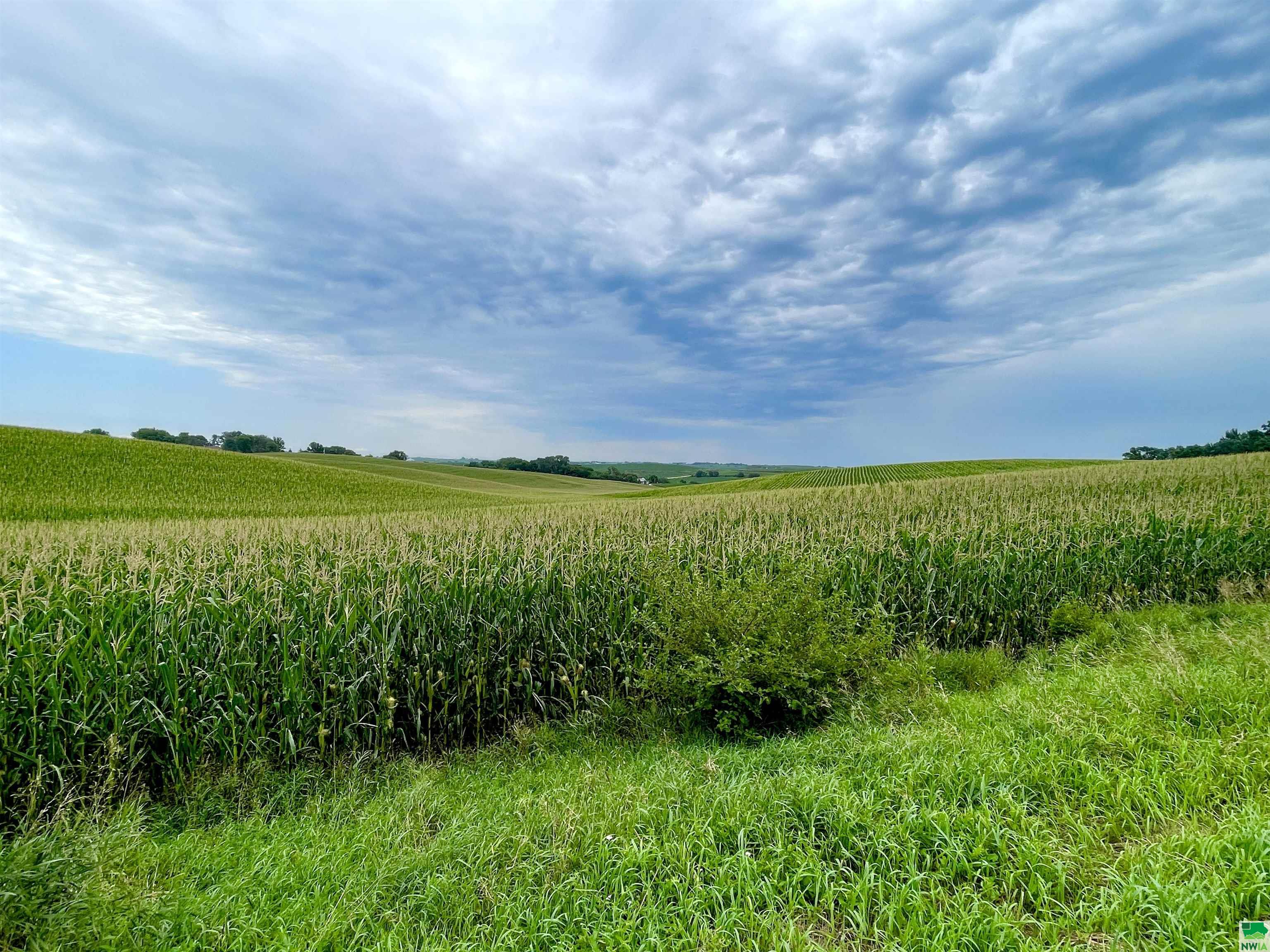 TBD Old Hwy 141, Sergeant Bluff, IA 51054 