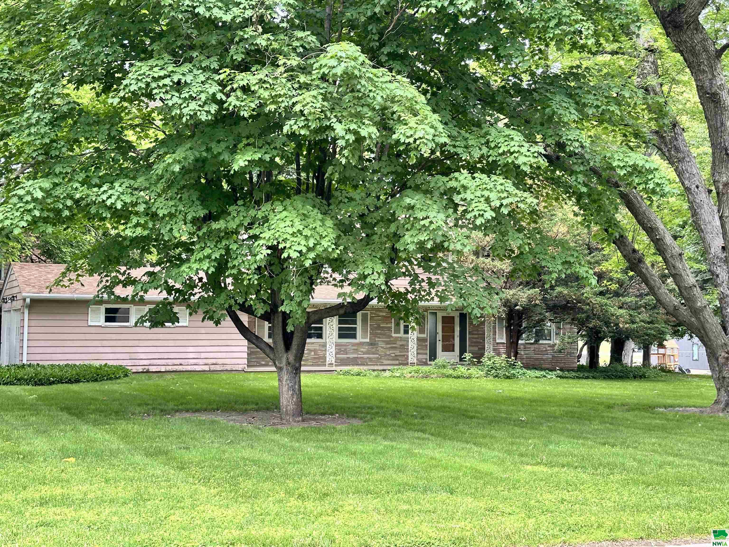 307 7th St NE						  						 , Orange City						 , IA						  51041						  