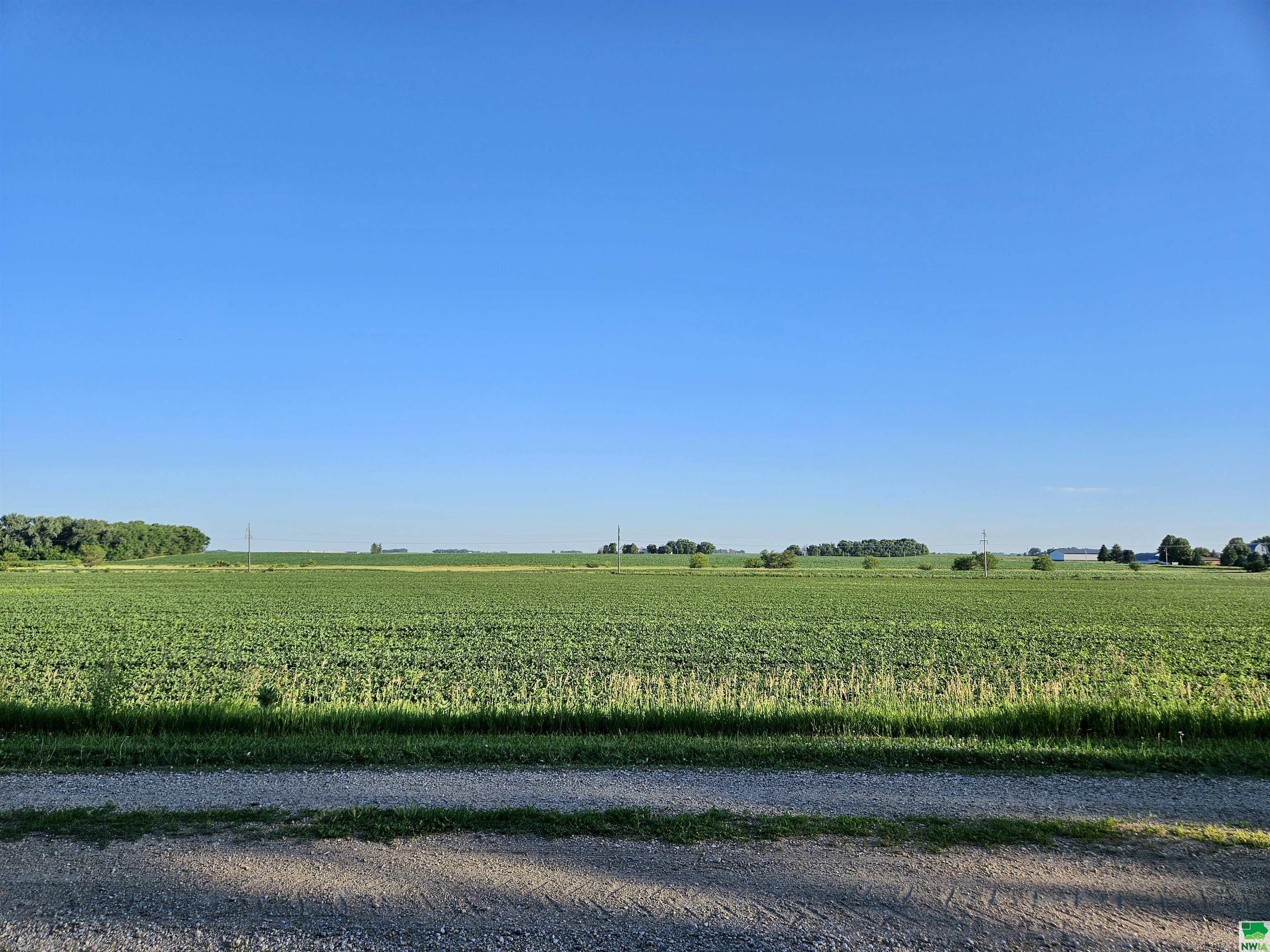 MLS #825400