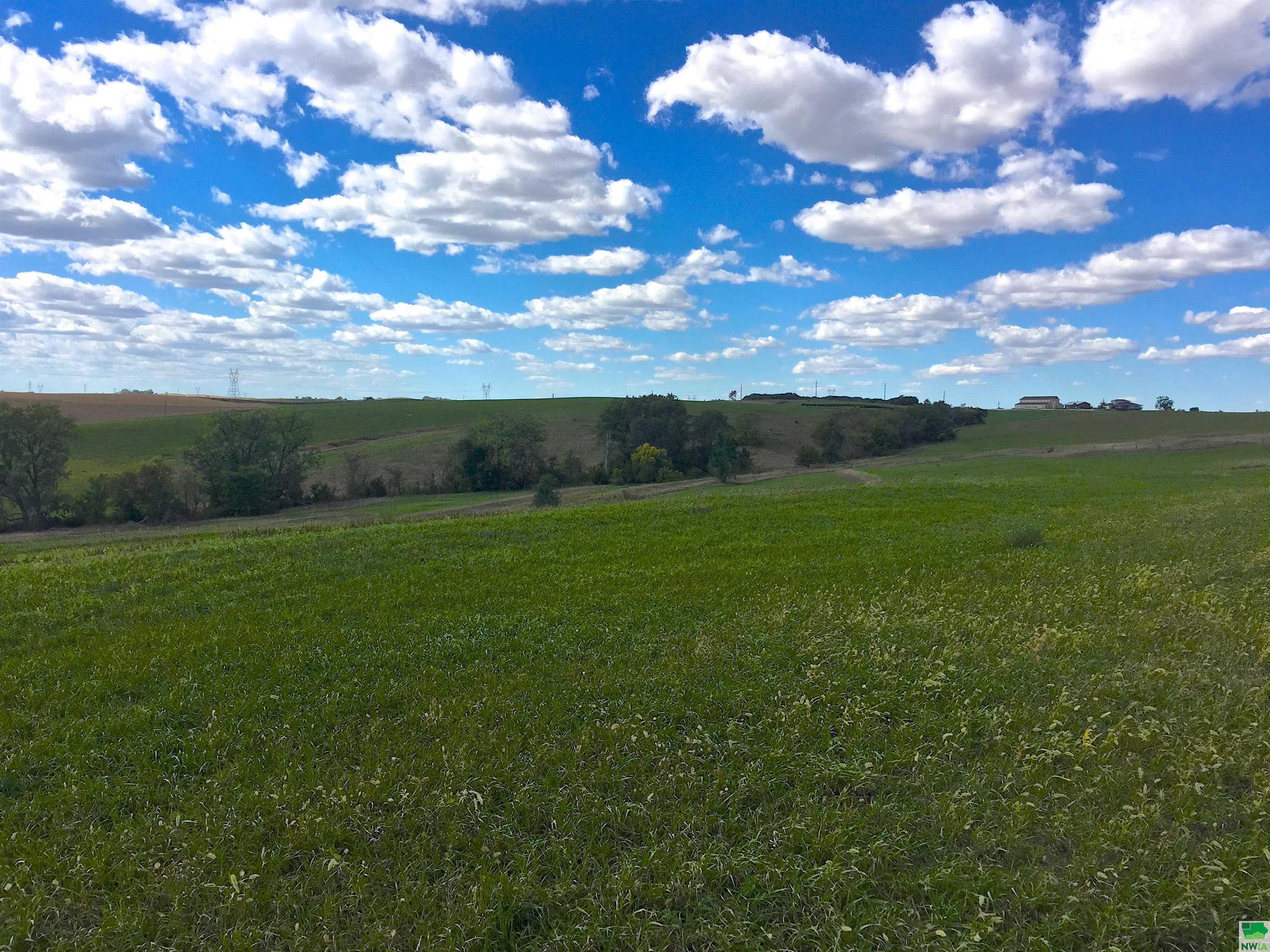 LOT 14 Tucker Hill Dr - Replat, Hinton, IA 51024 