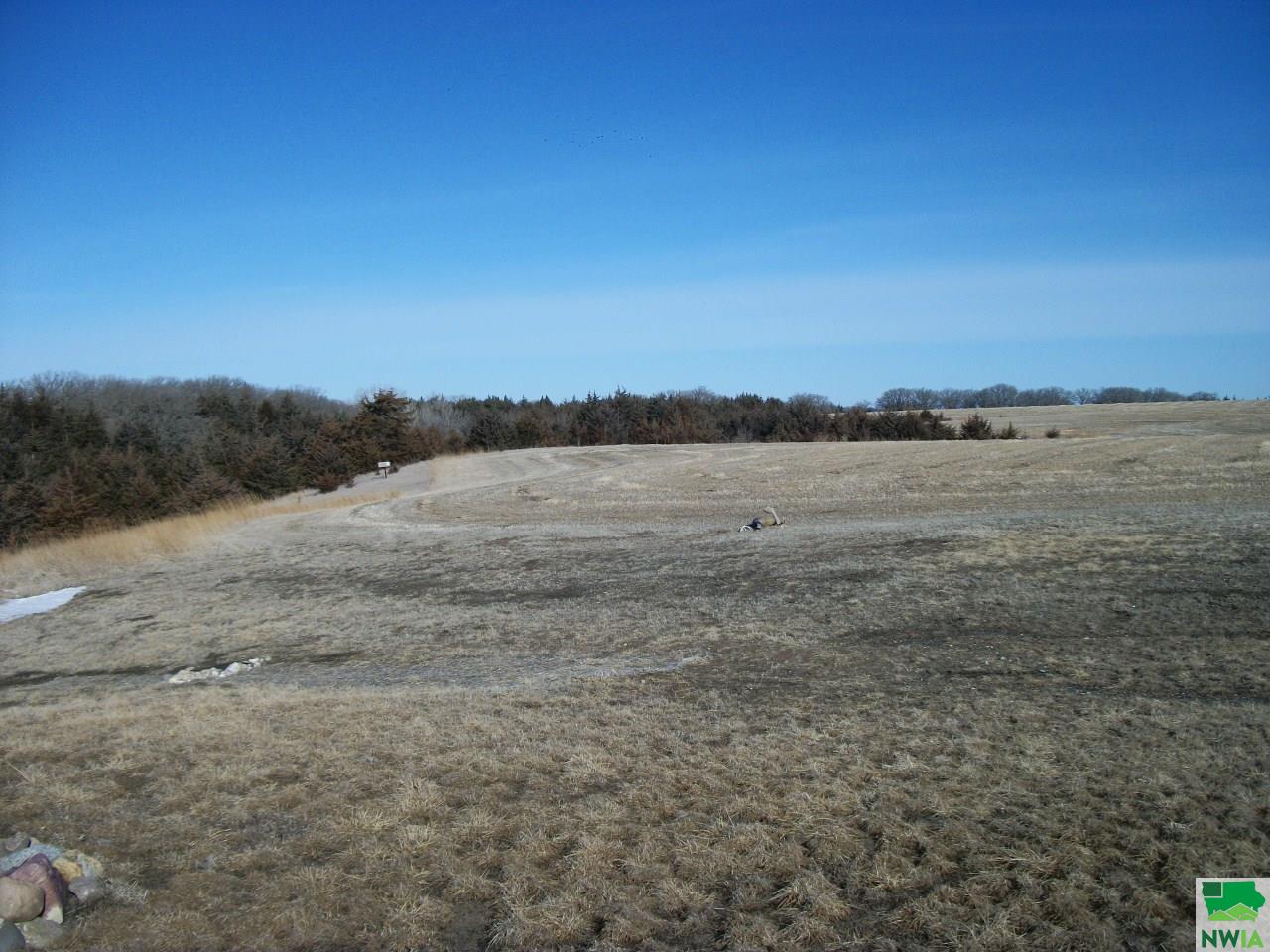 MLS #827905
